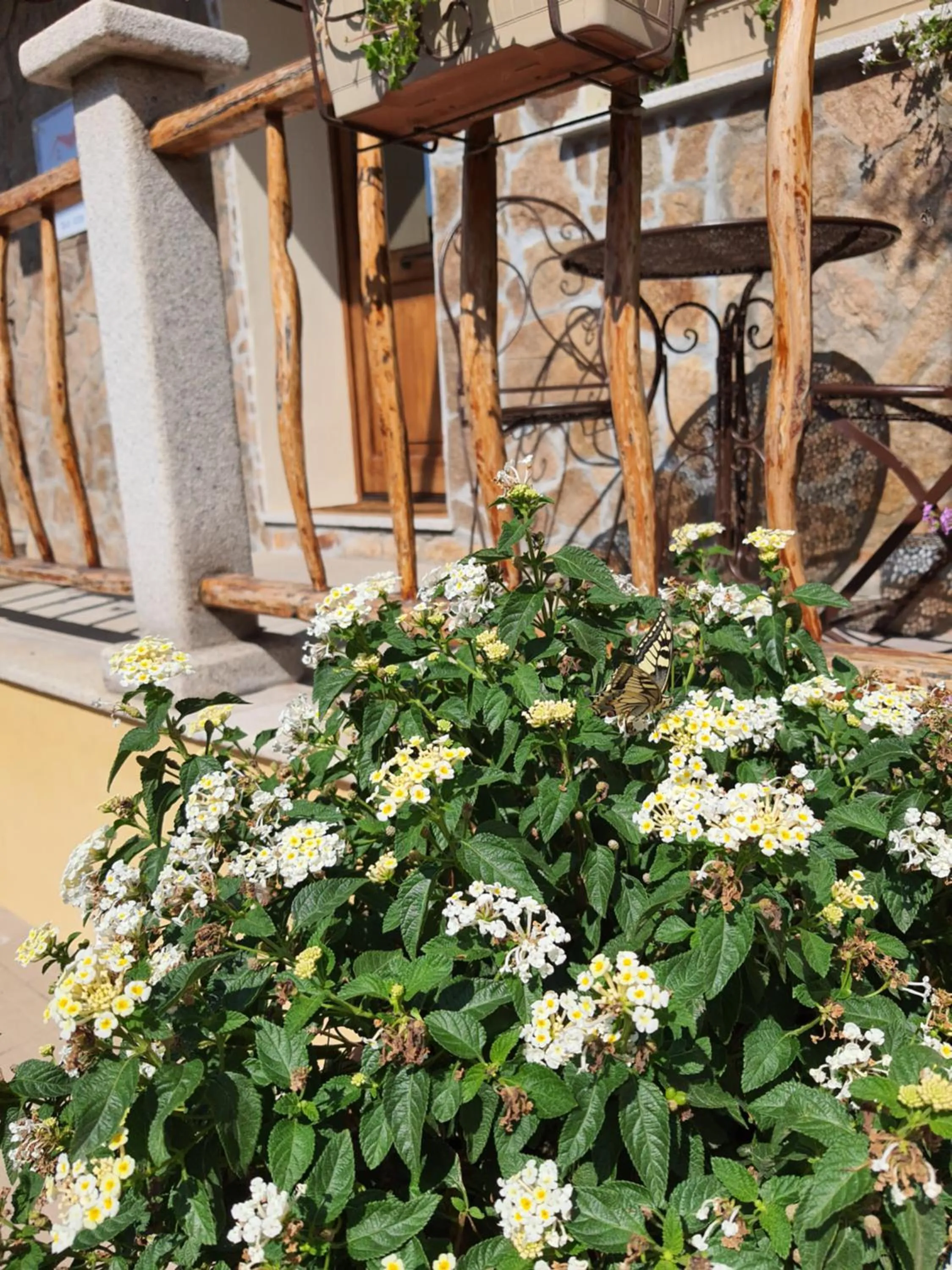 AL PEZ exclusive rooms