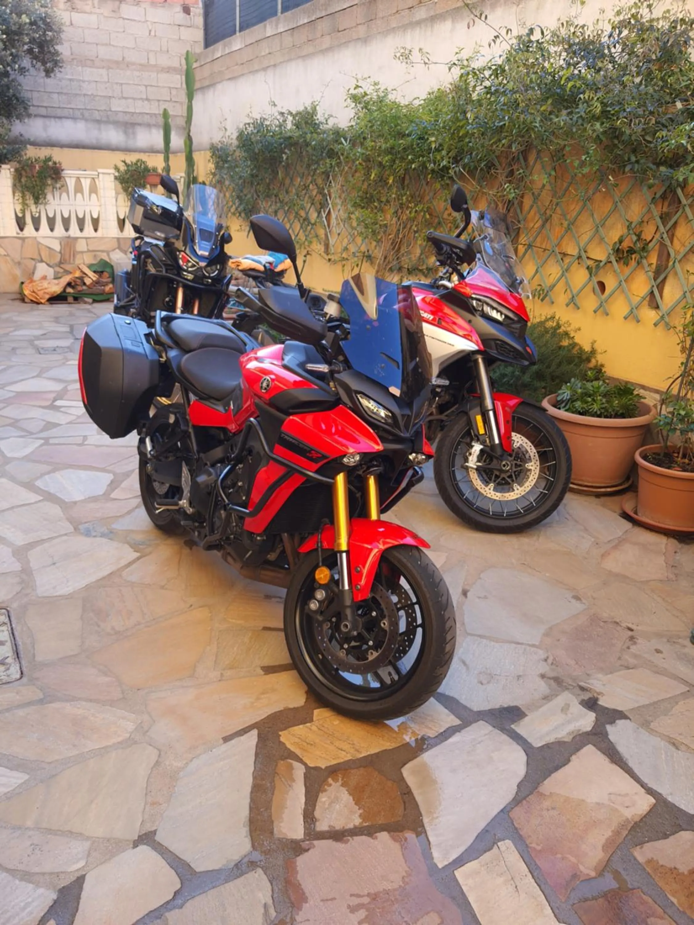 AL PEZ exclusive rooms