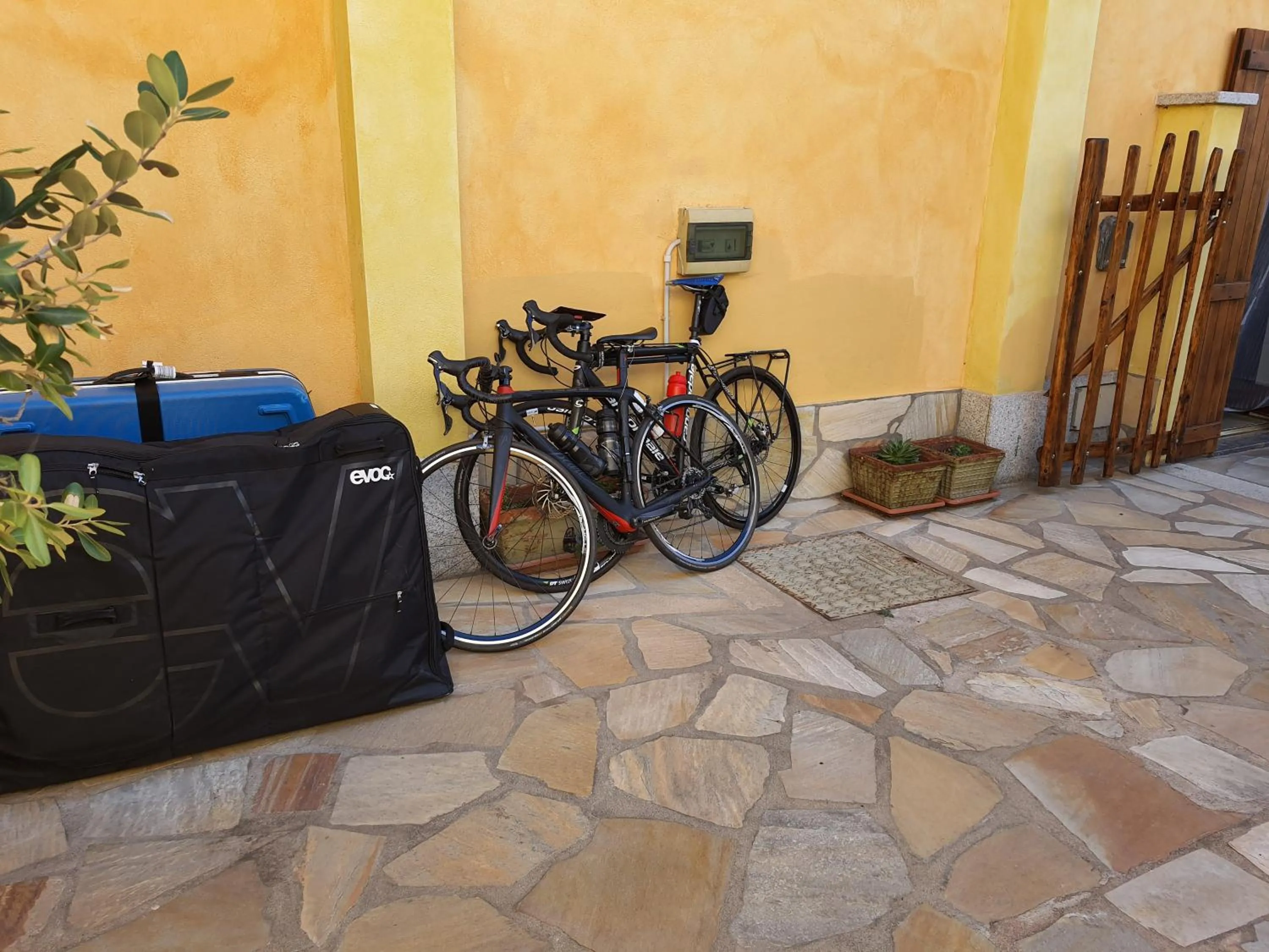 Garden in AL PEZ exclusive rooms