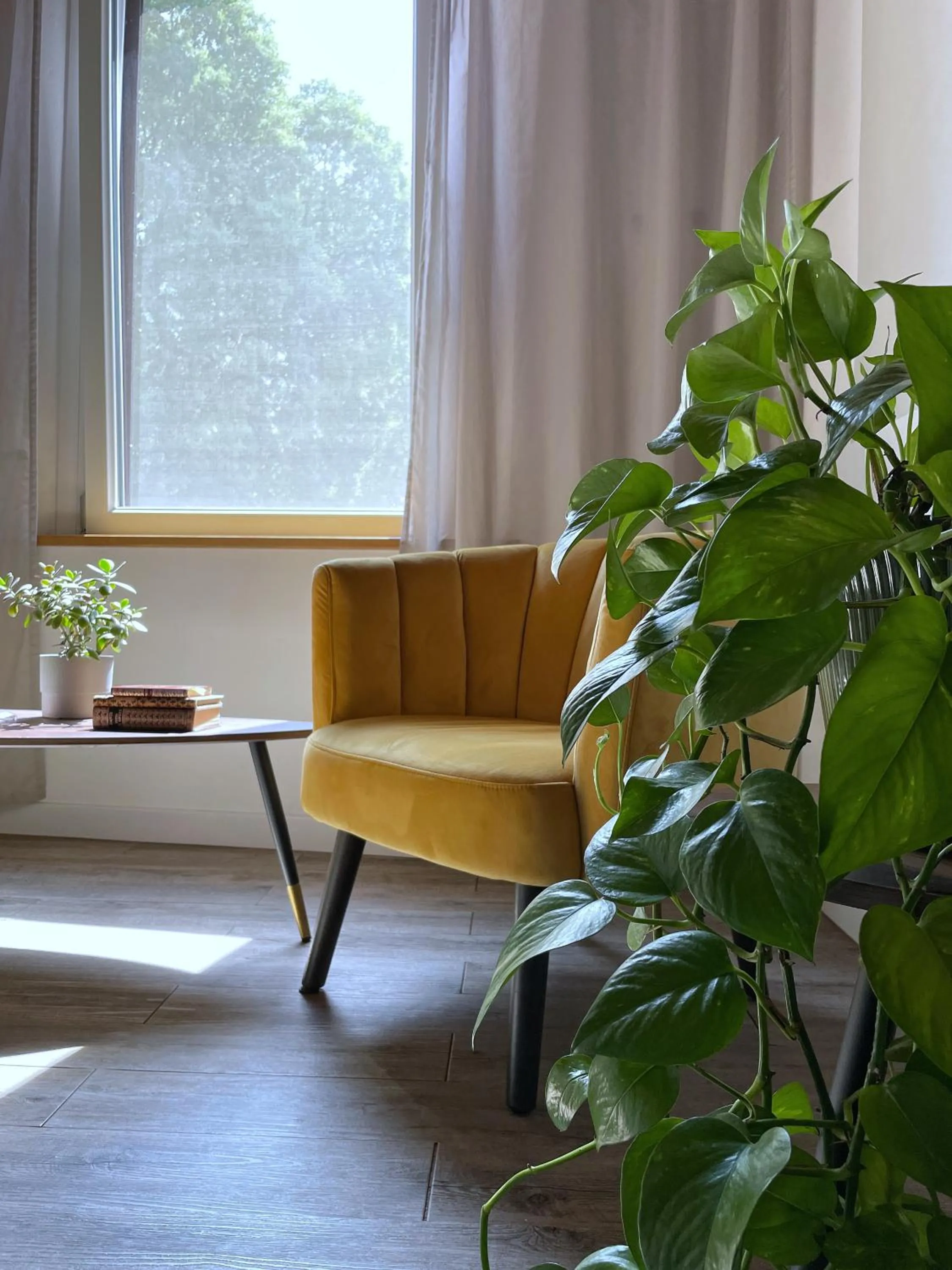 Restaurant/places to eat in Alkimia Smart Rooms