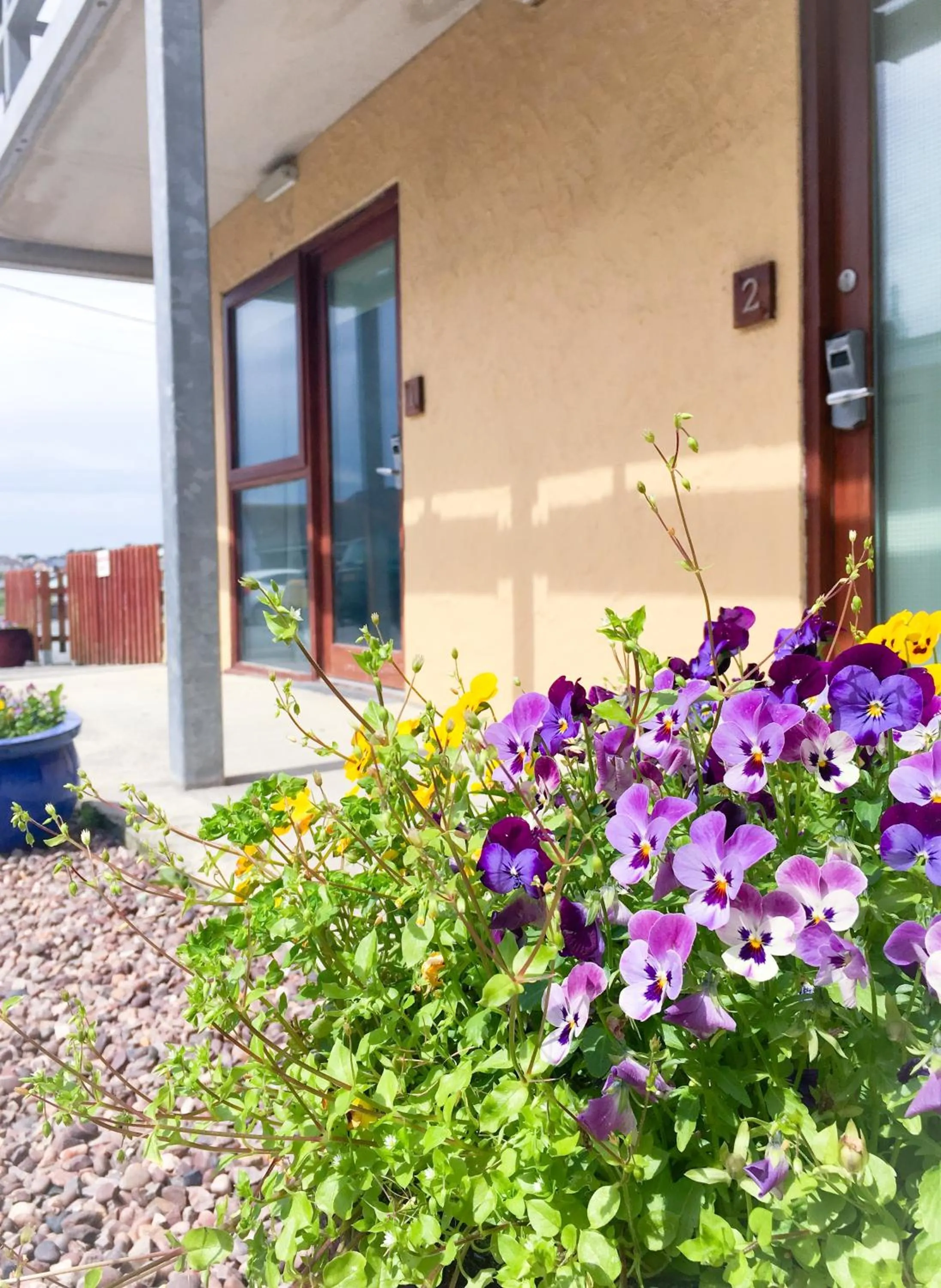 Balcony/Terrace in The Beach Motel