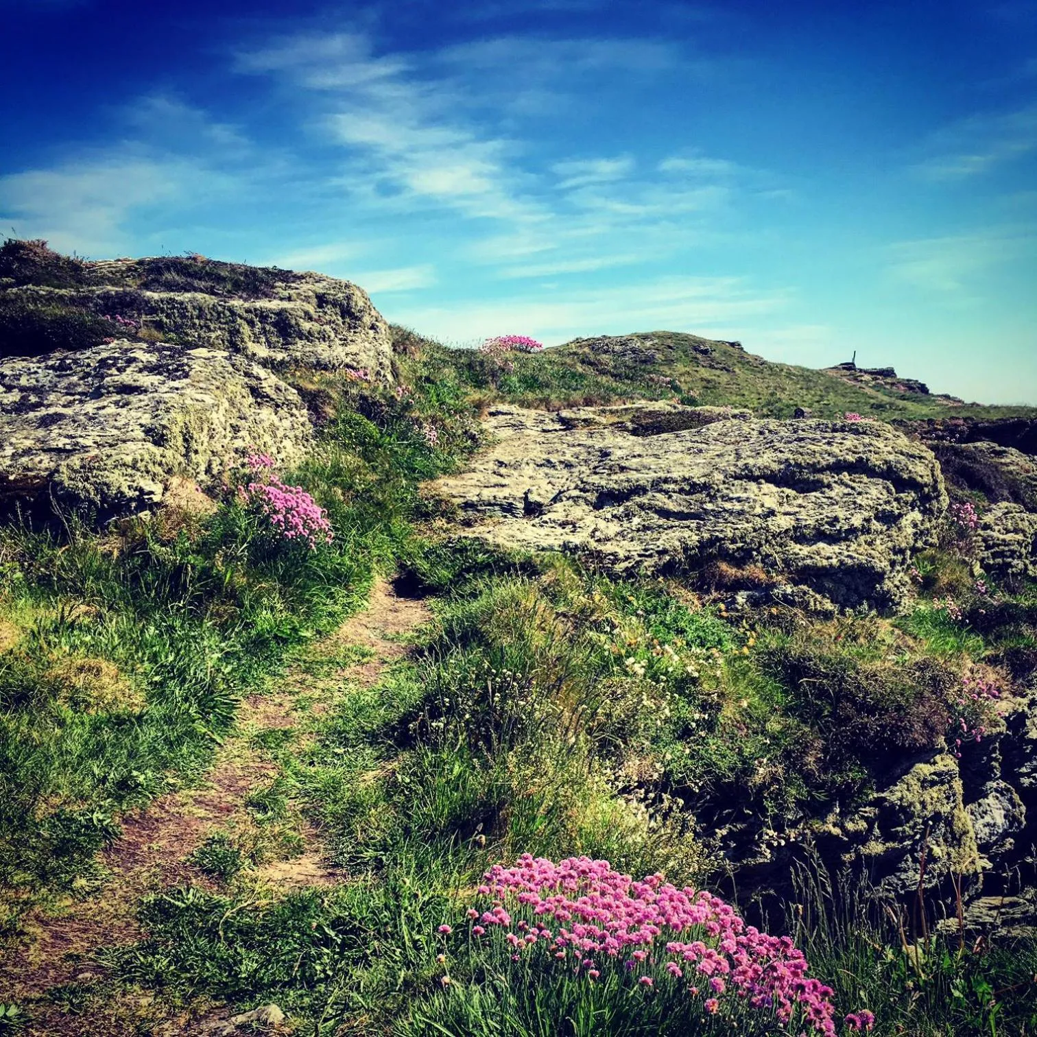 Natural landscape in The Beach Motel