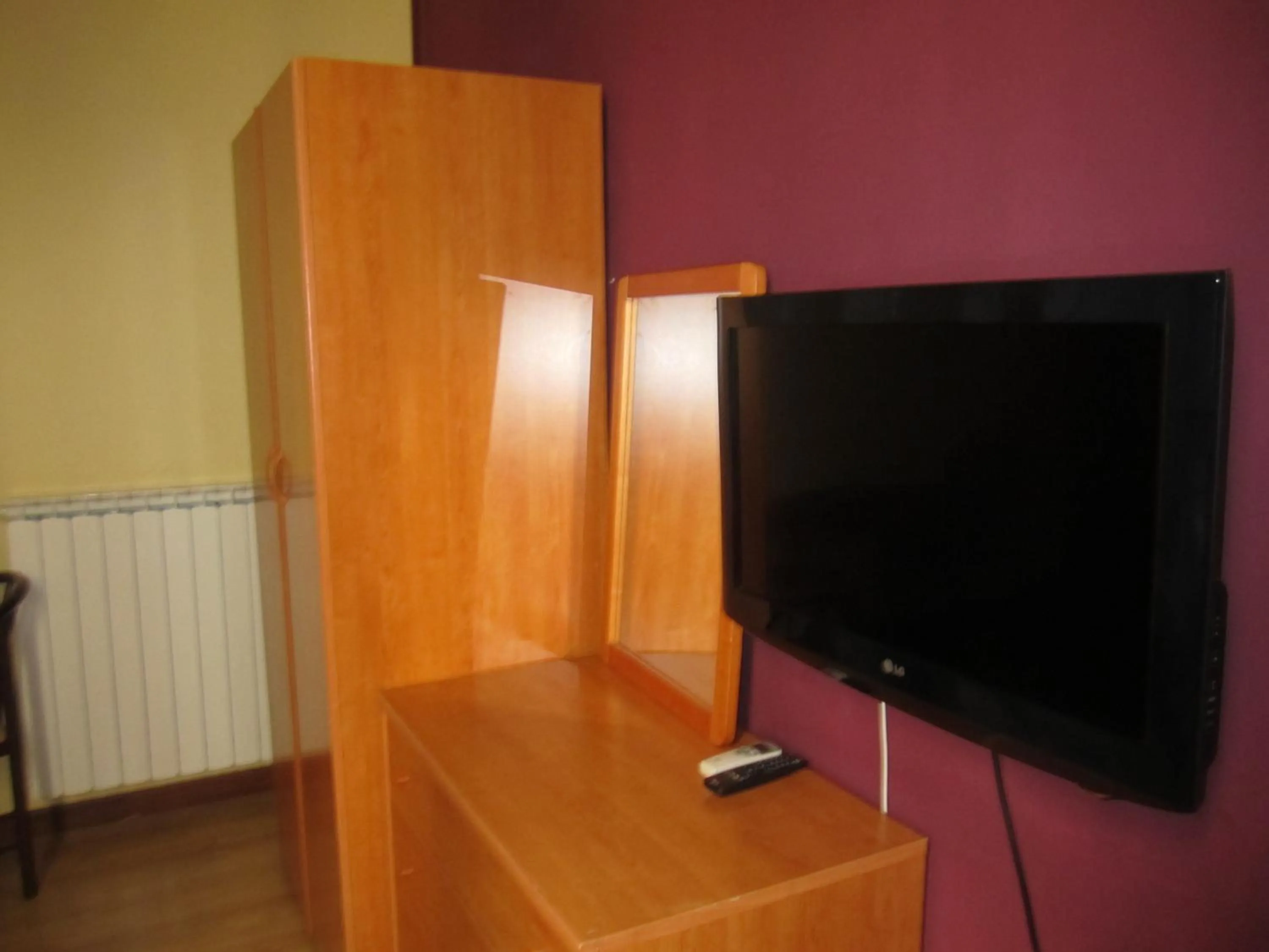 TV and multimedia in Hotel Genzianella