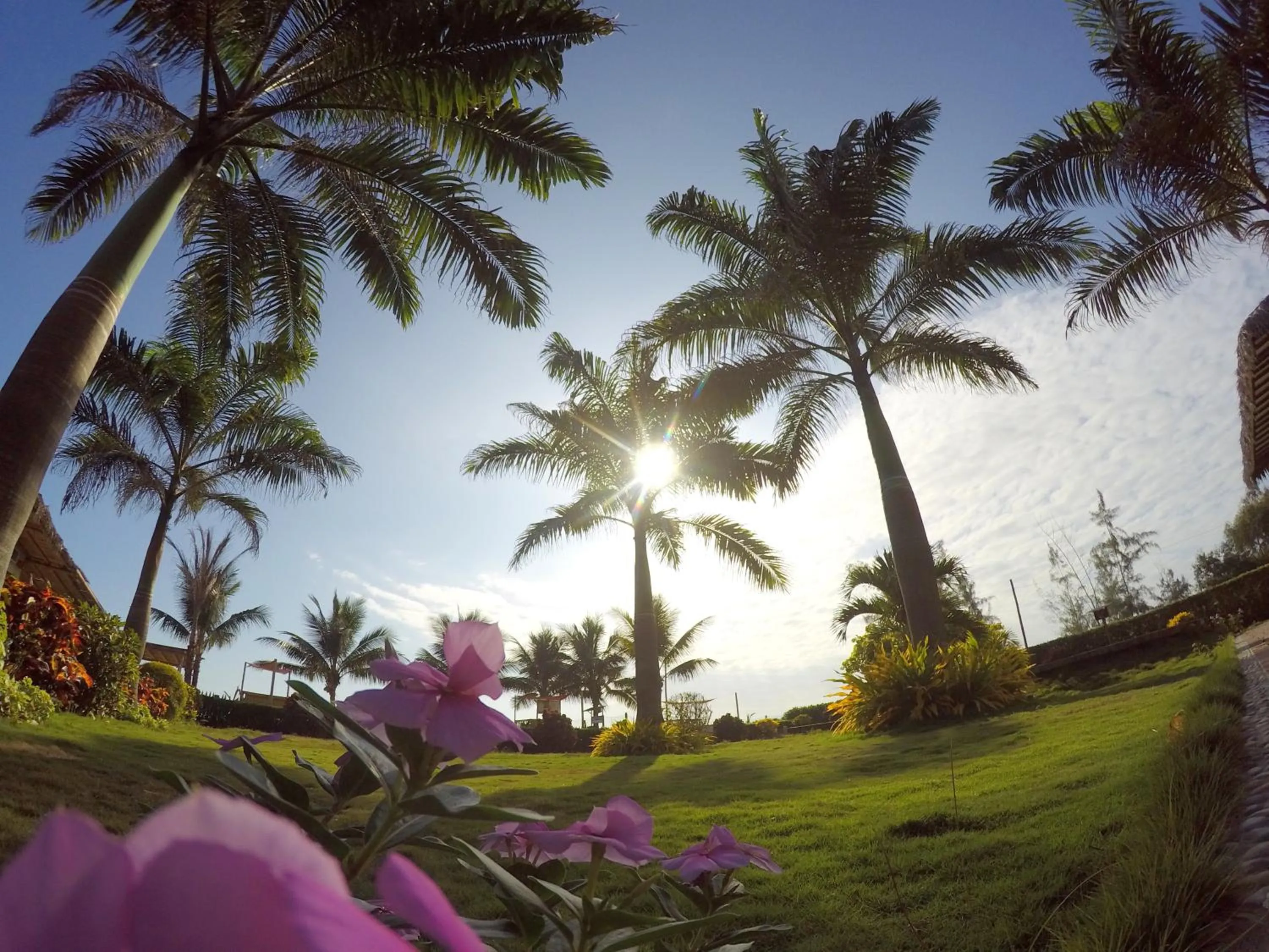 Garden in Hotel Kundalini