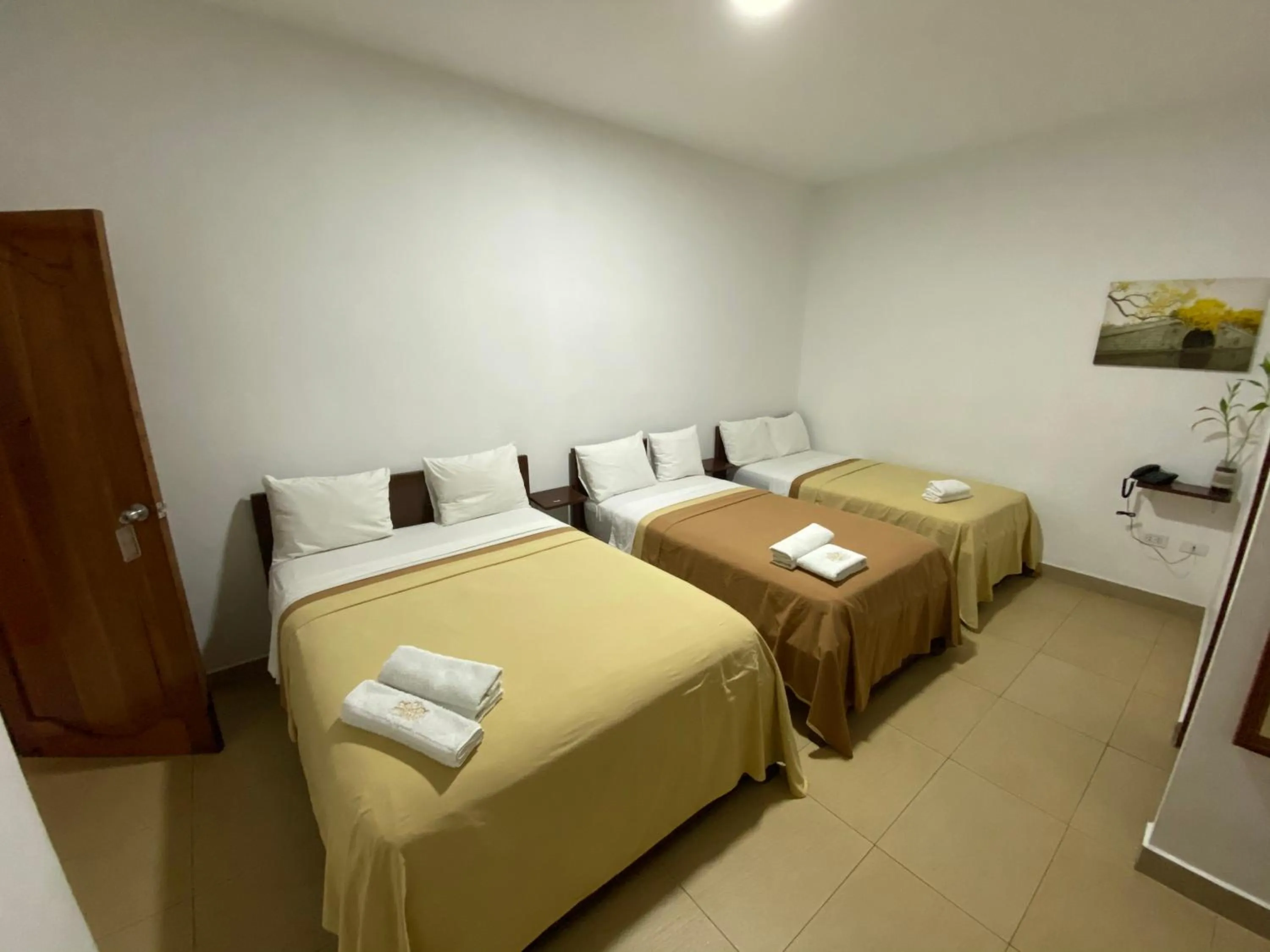 Bed in Fitzcarrald Hotel