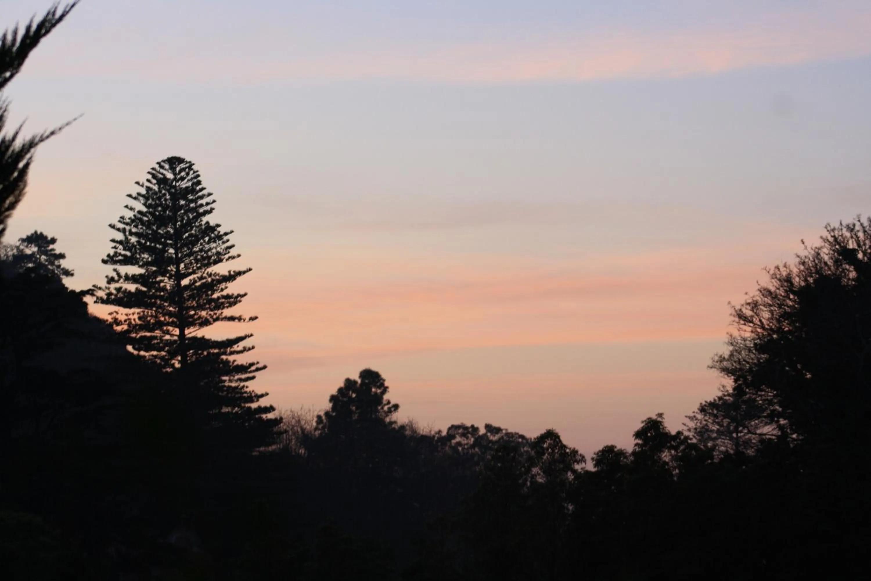 View (from property/room) in Hotel Sintra Jardim