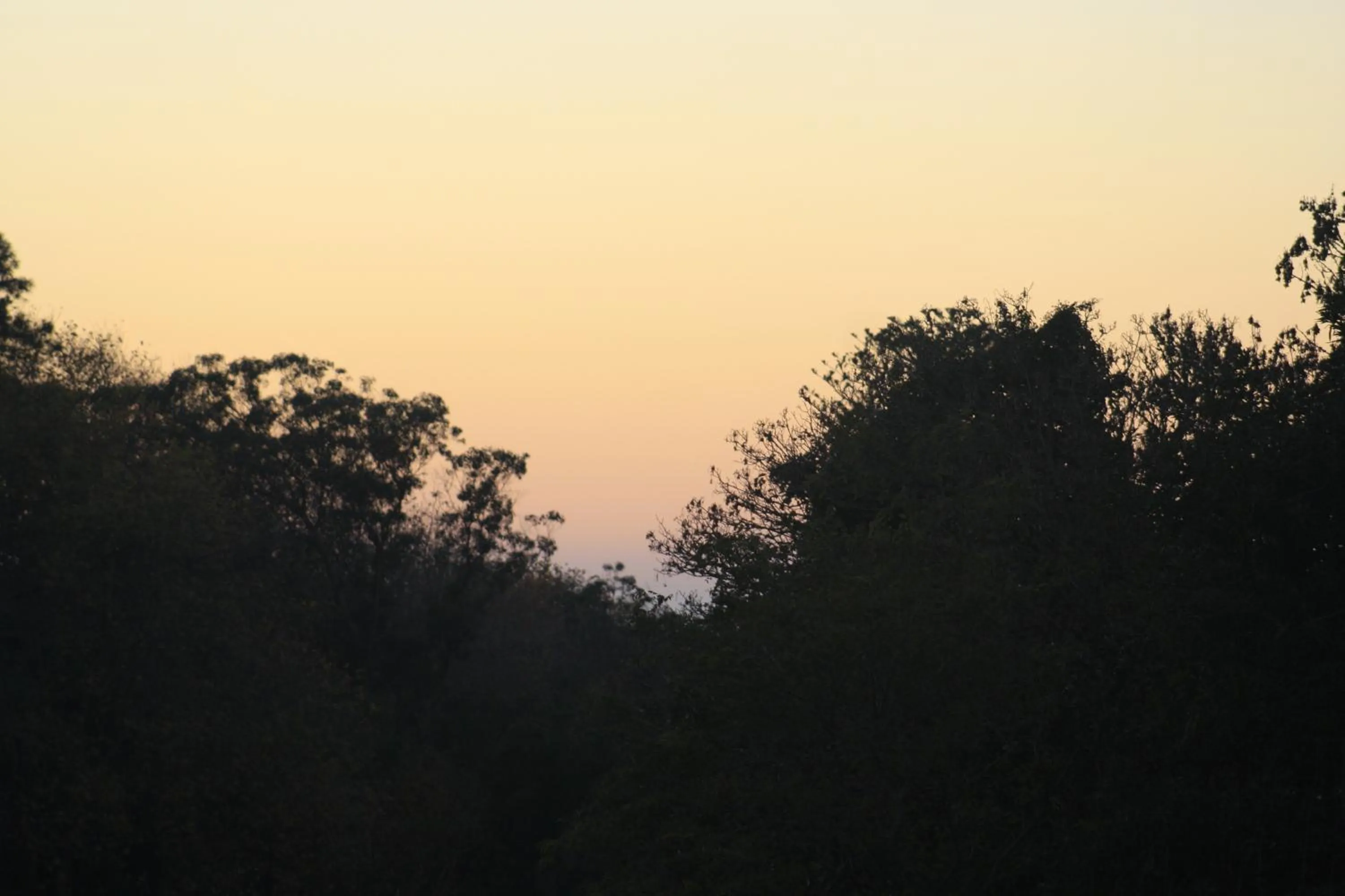 Garden in Hotel Sintra Jardim