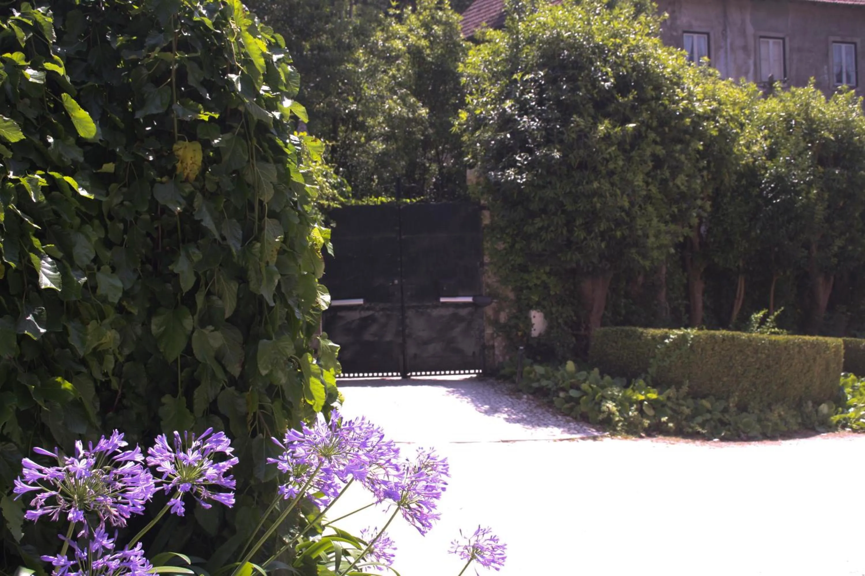 Facade/entrance in Hotel Sintra Jardim