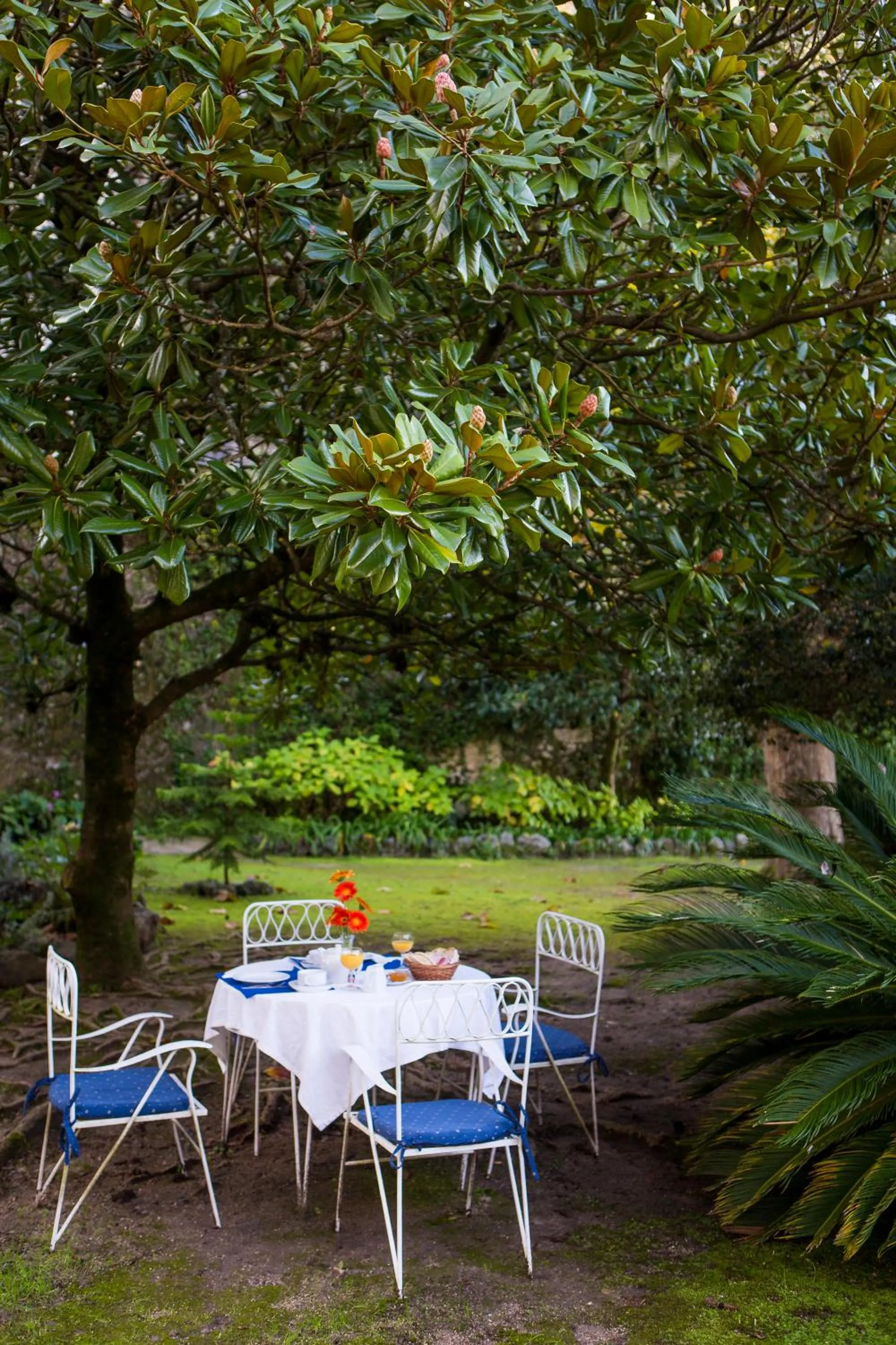 Garden in Hotel Sintra Jardim