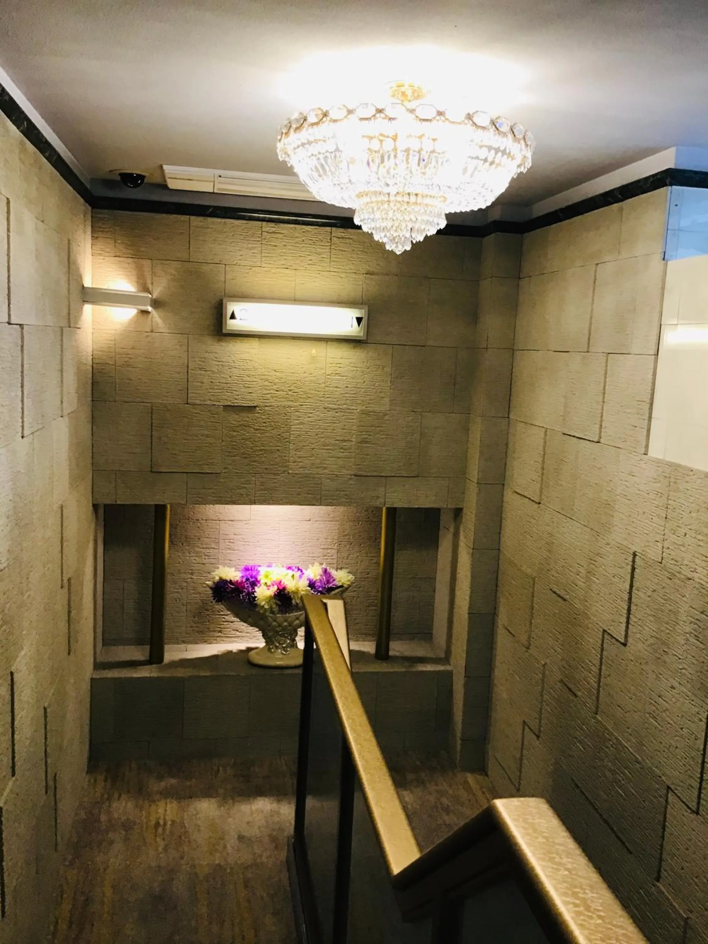 Hotel Star Dust (Adult Only)