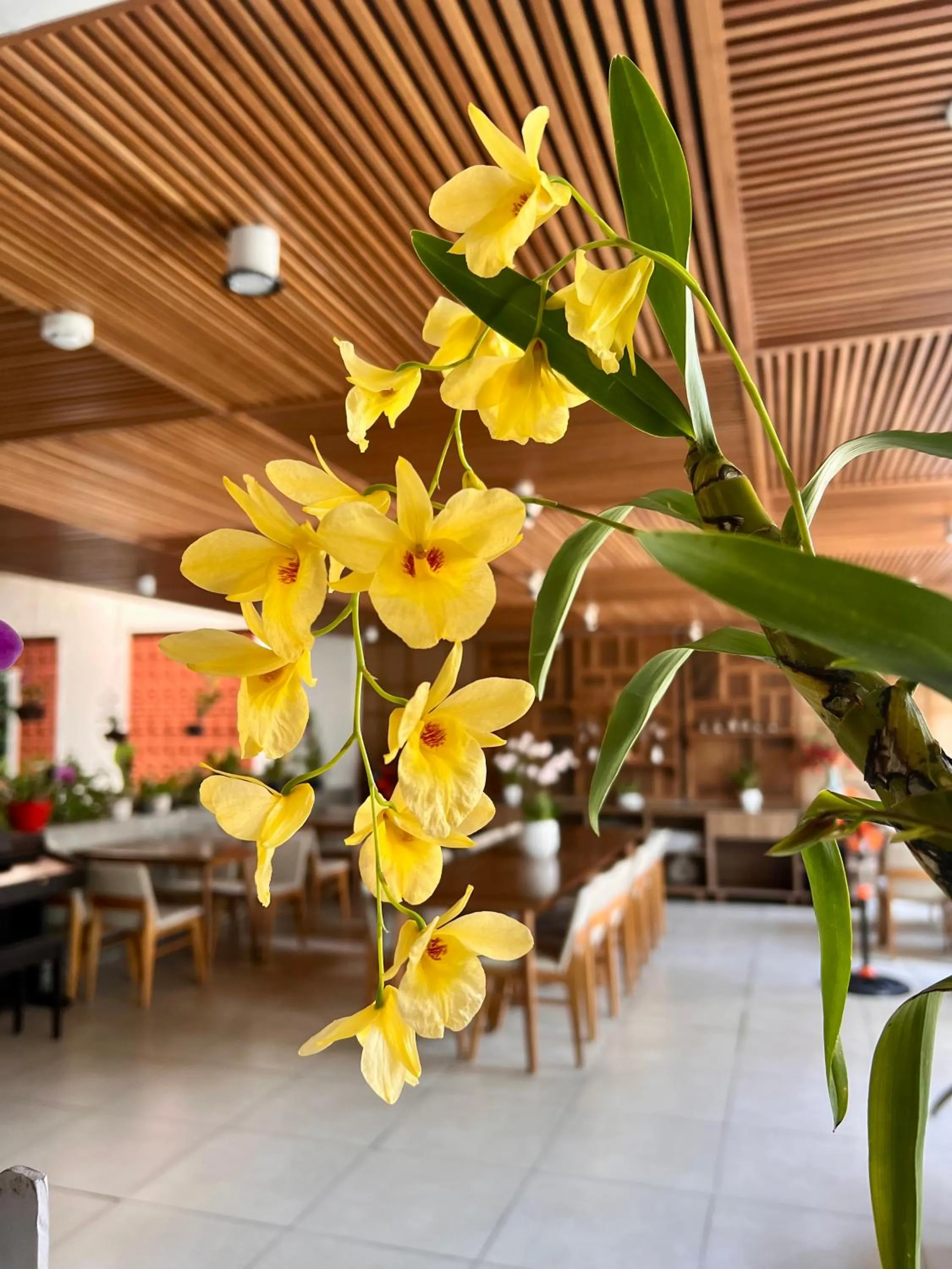 Restaurant/places to eat in Ponte Boutique Da Nang