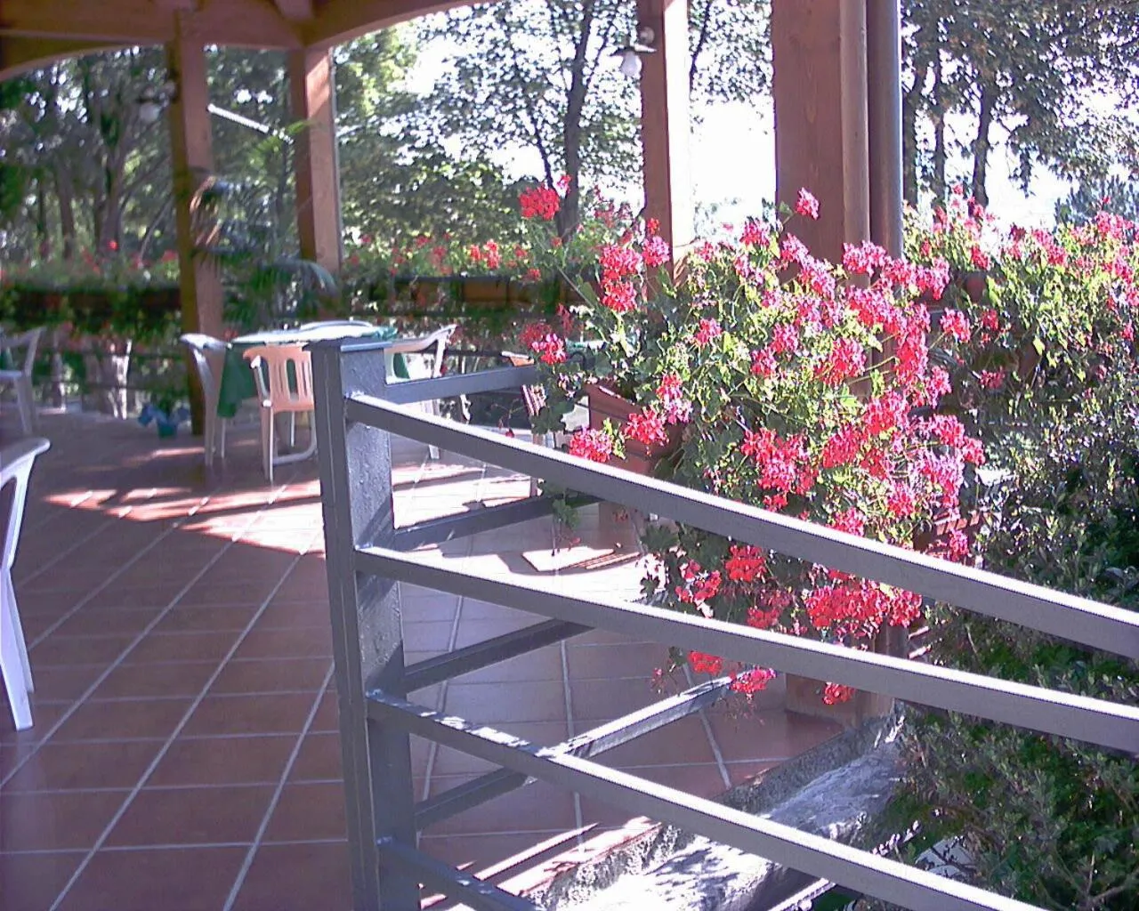 Patio in Hotel Bruna