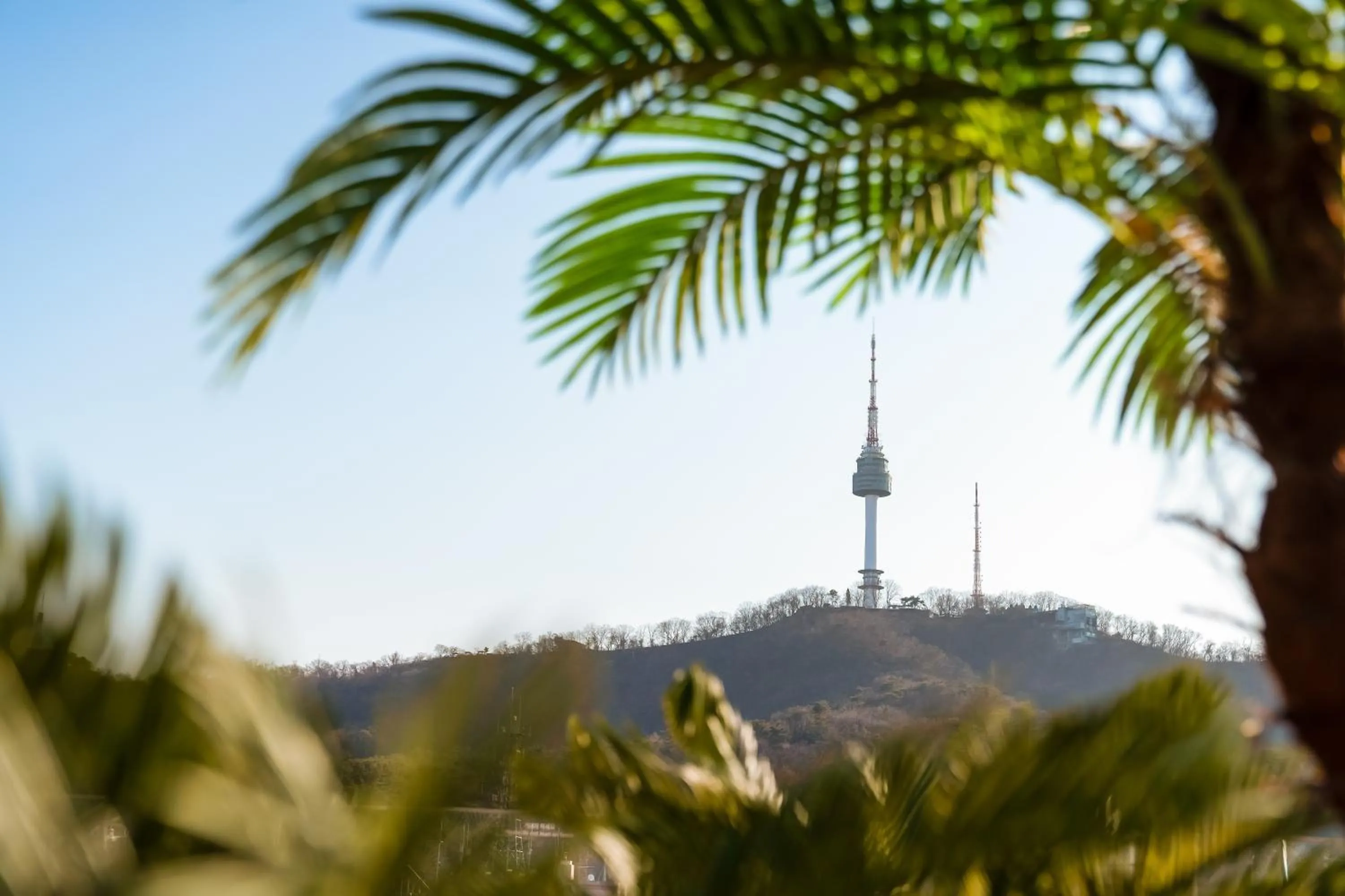 Street view in Dears Myeongdong