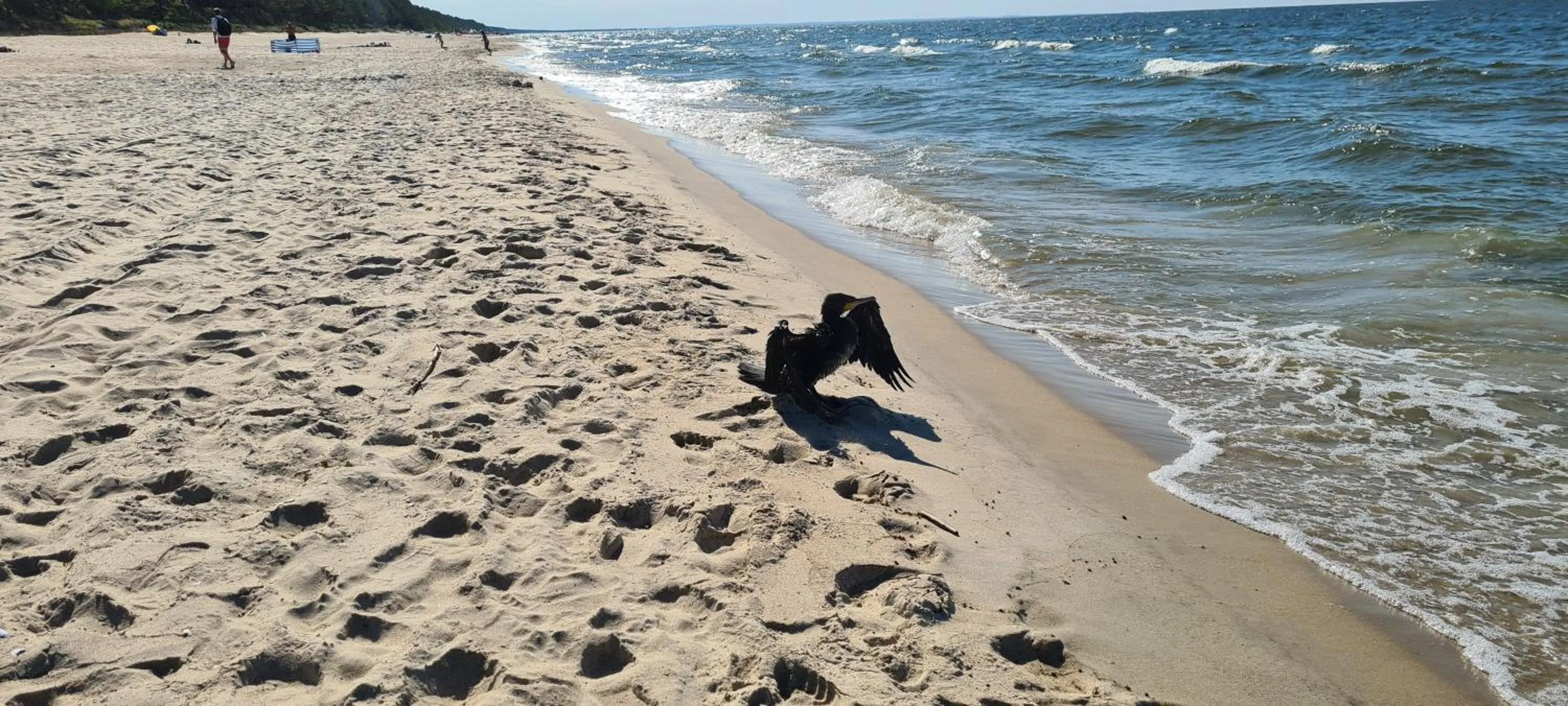 Dom Derbend na wyłączność