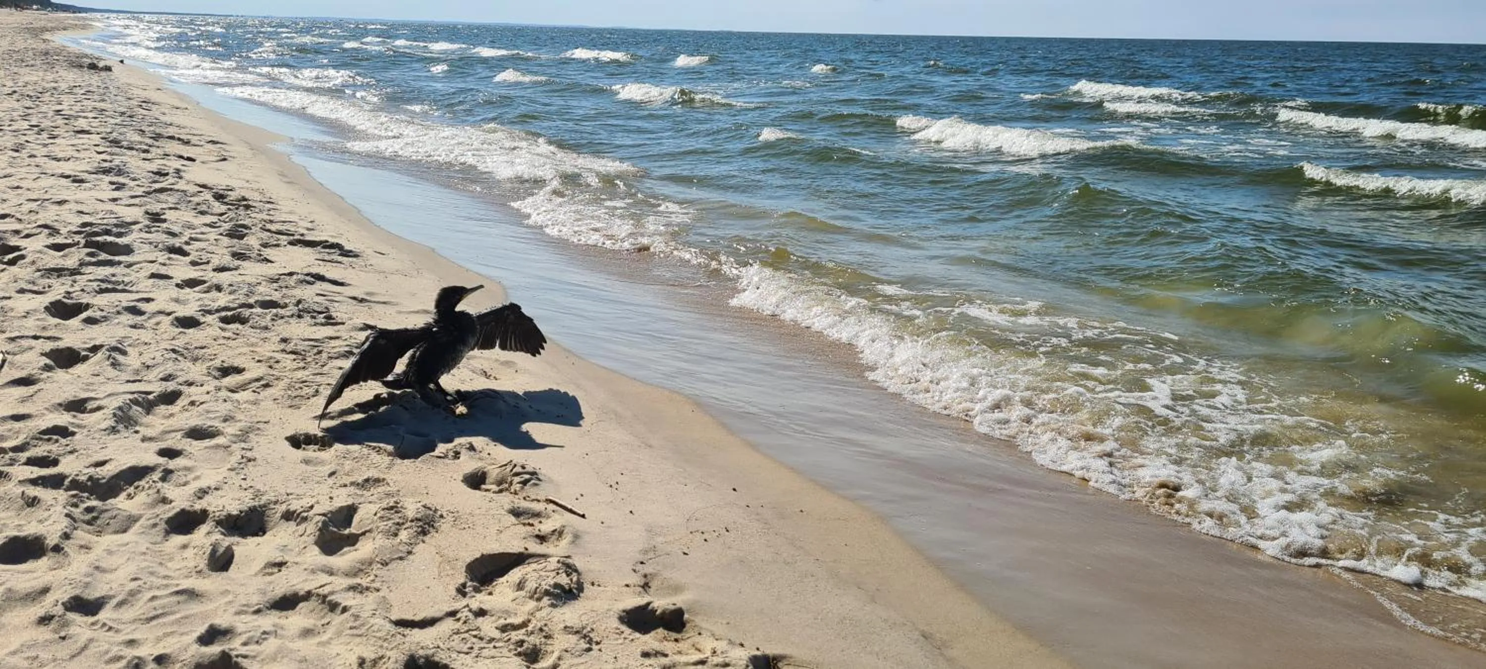 Dom Derbend na wyłączność