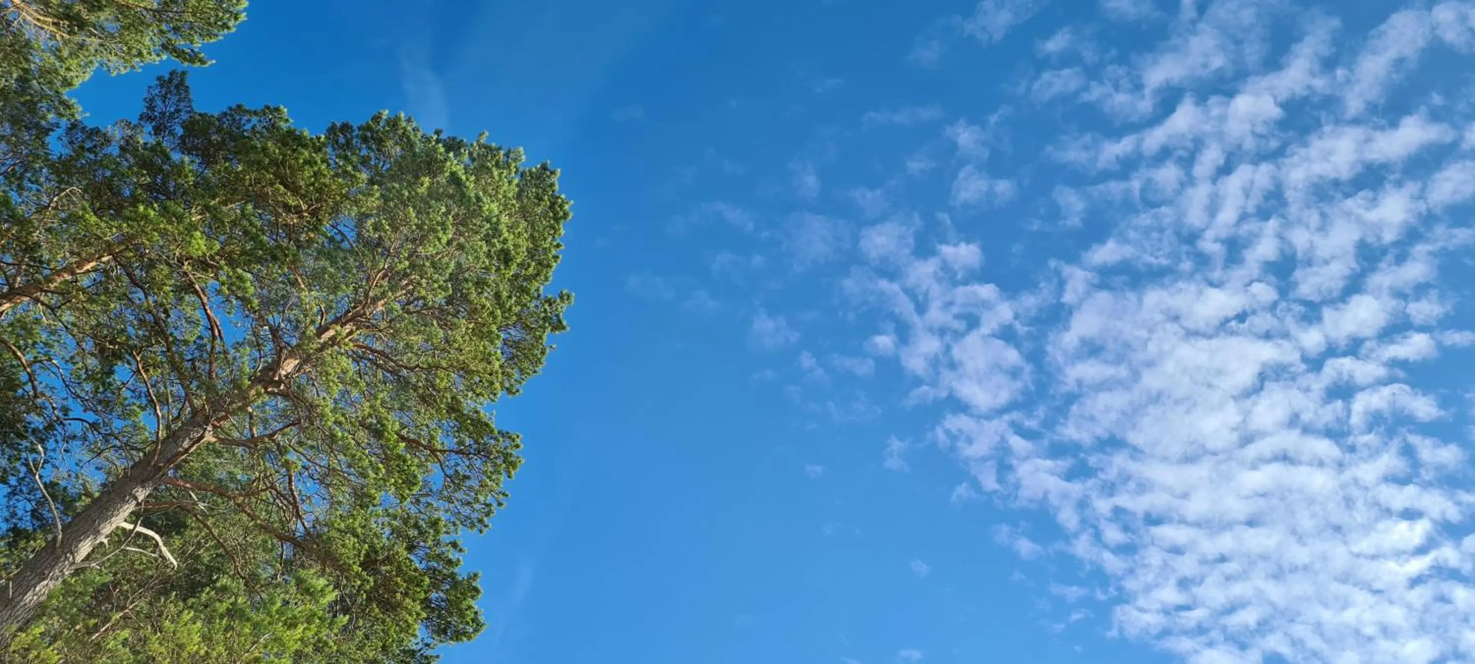 Dom Derbend na wyłączność