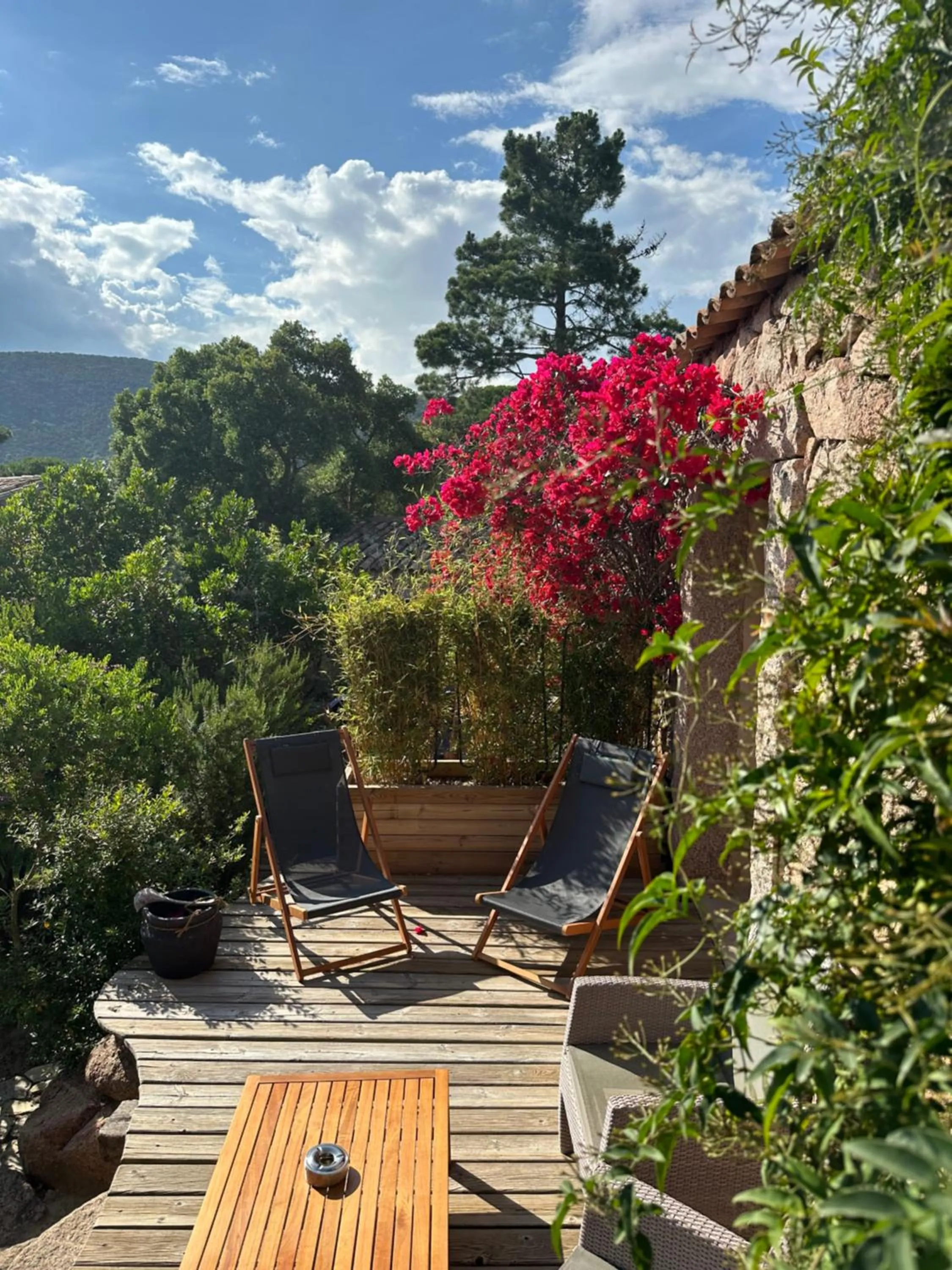 Patio in Hôtel Ambassador Palombaggia