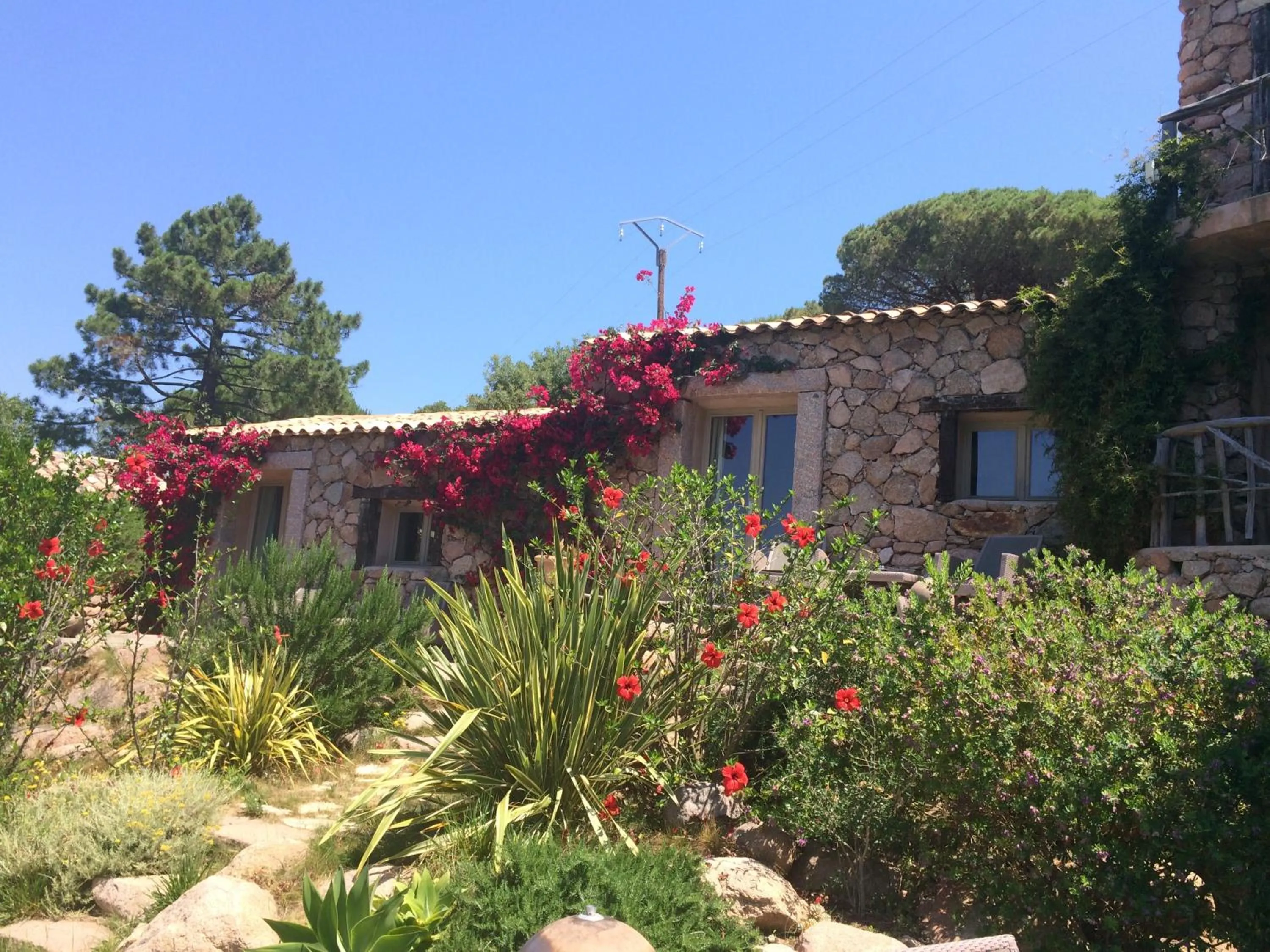 Facade/entrance in Hôtel Ambassador Palombaggia