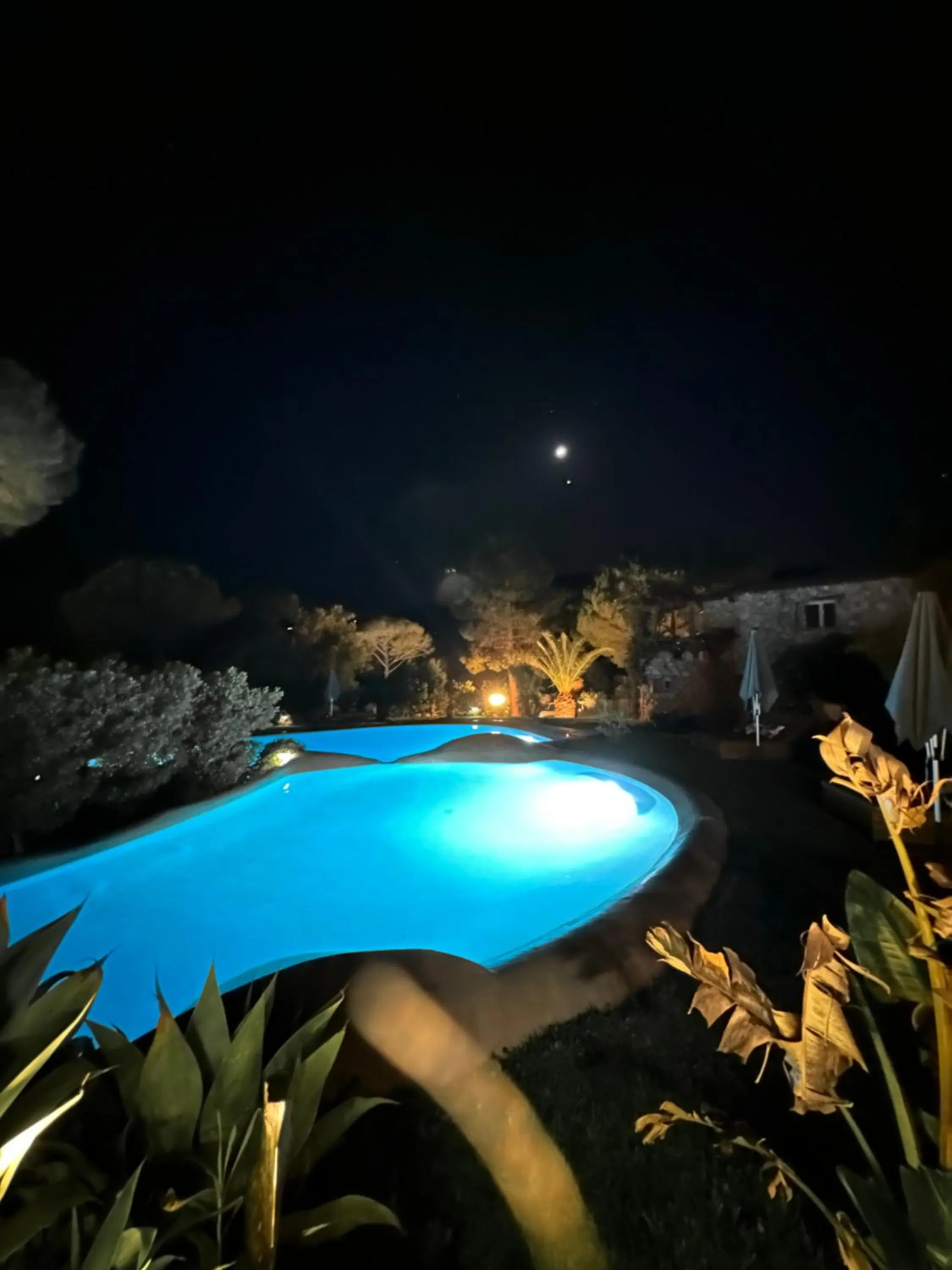 Night in Hôtel Ambassador Palombaggia