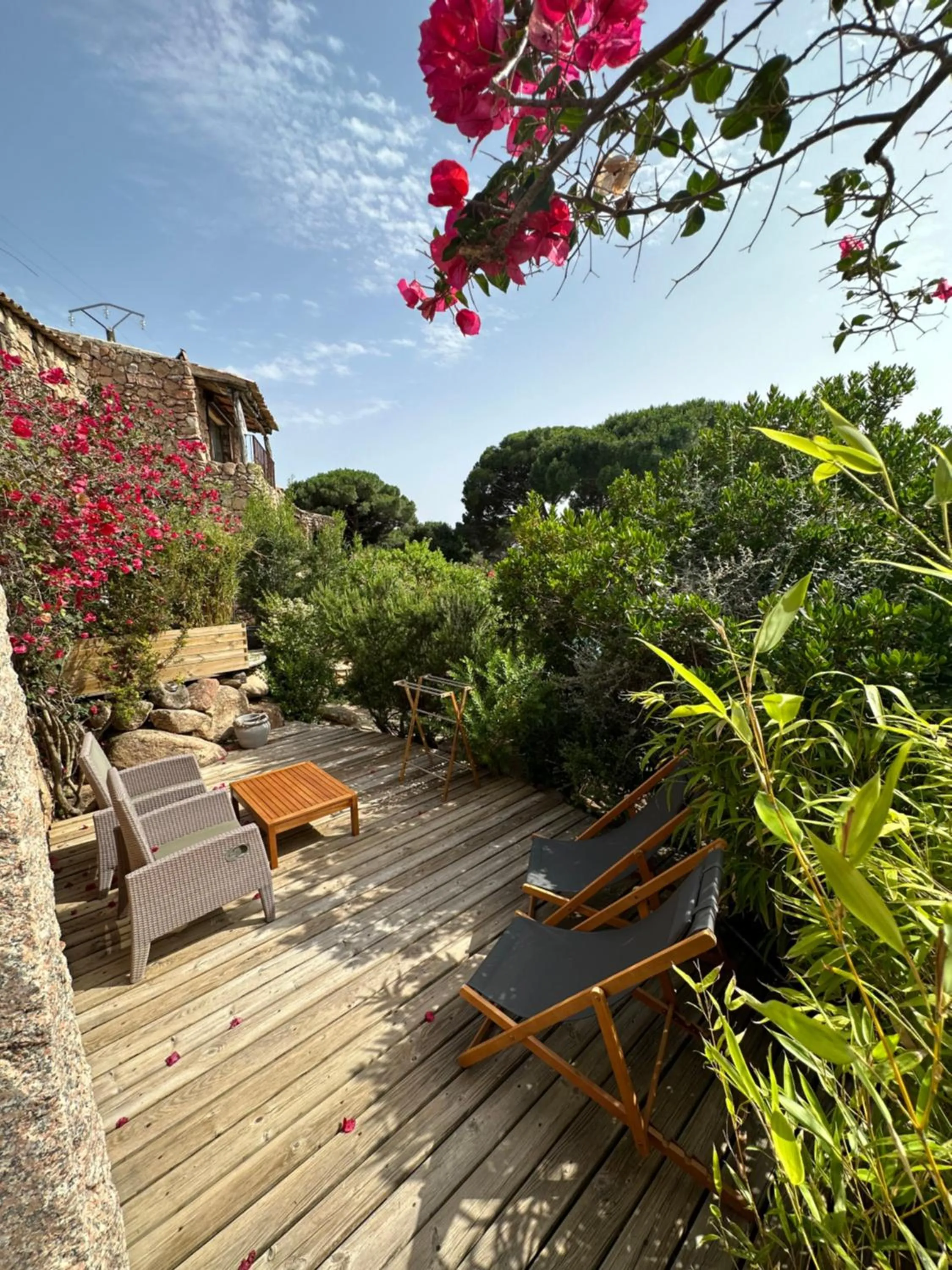 Balcony/Terrace in Hôtel Ambassador Palombaggia