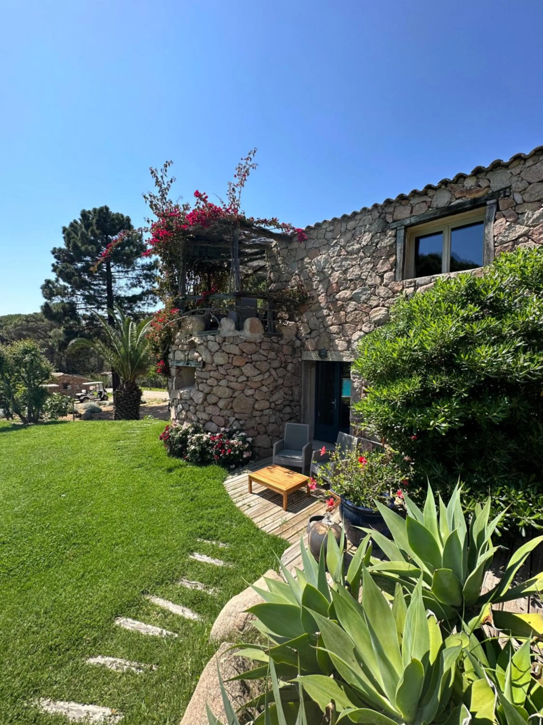 Garden in Hôtel Ambassador Palombaggia