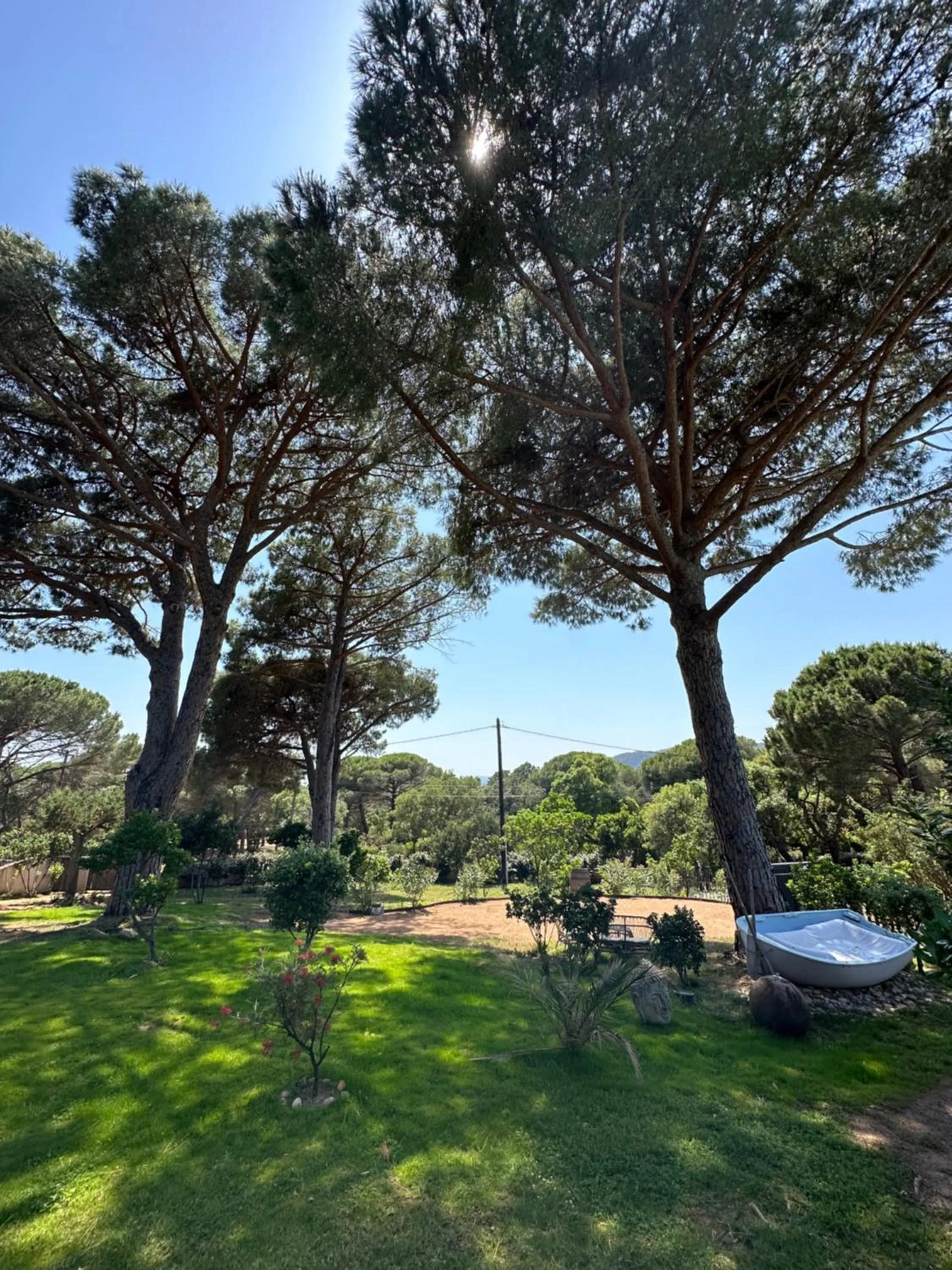 Day in Hôtel Ambassador Palombaggia