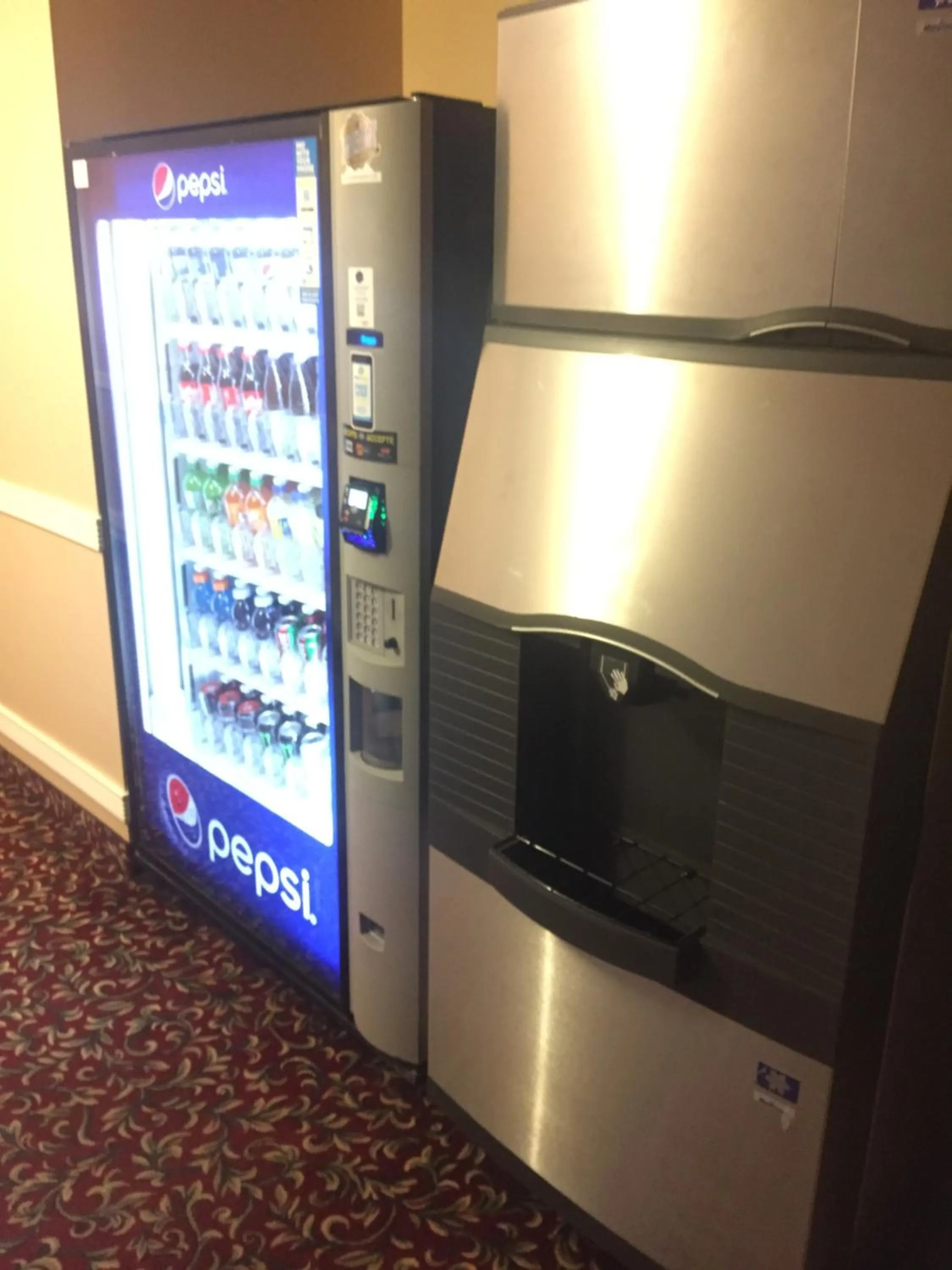 Area and facilities in Ace Inn