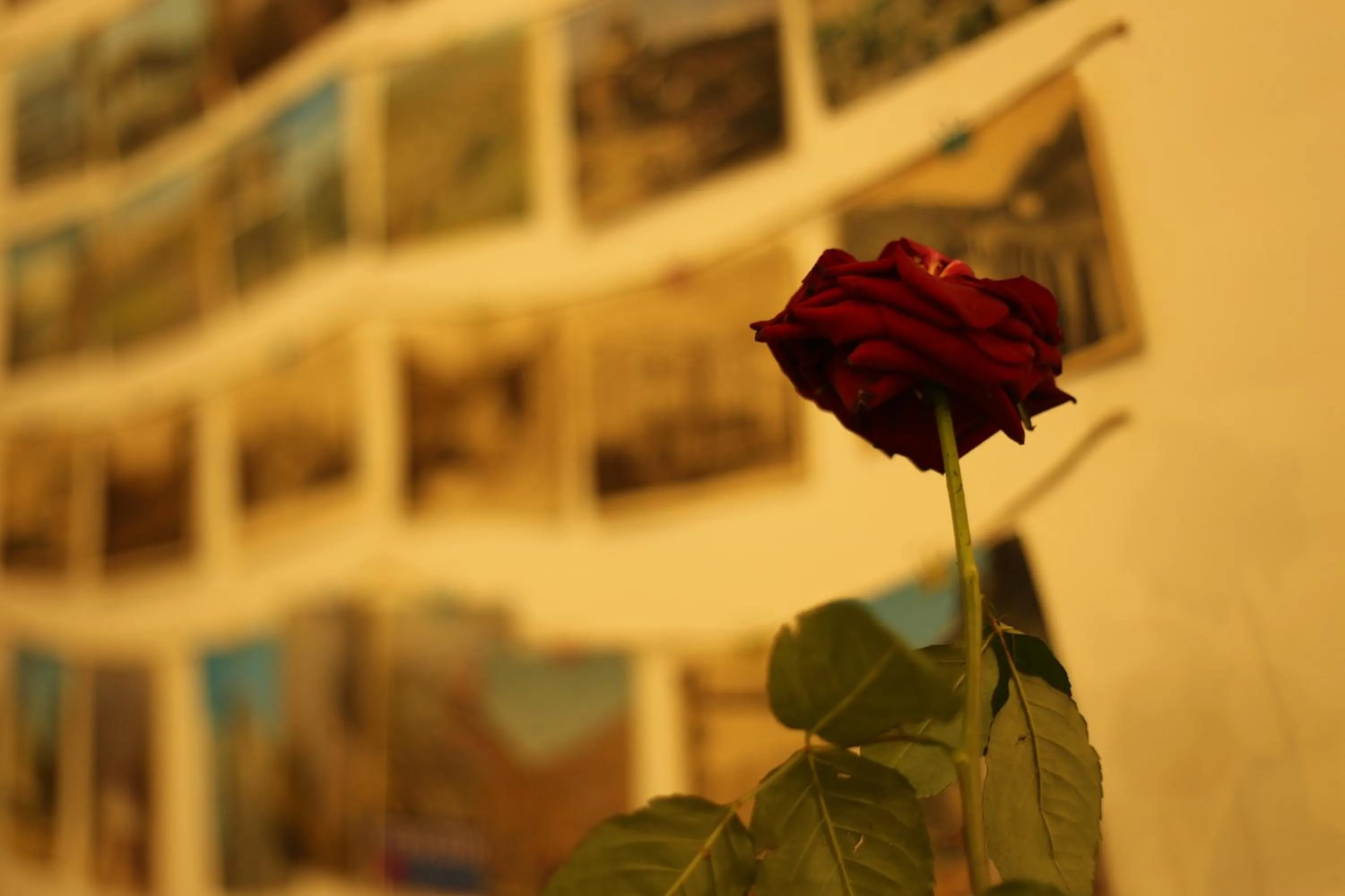 Communal lounge/ TV room in Moosica Hostel
