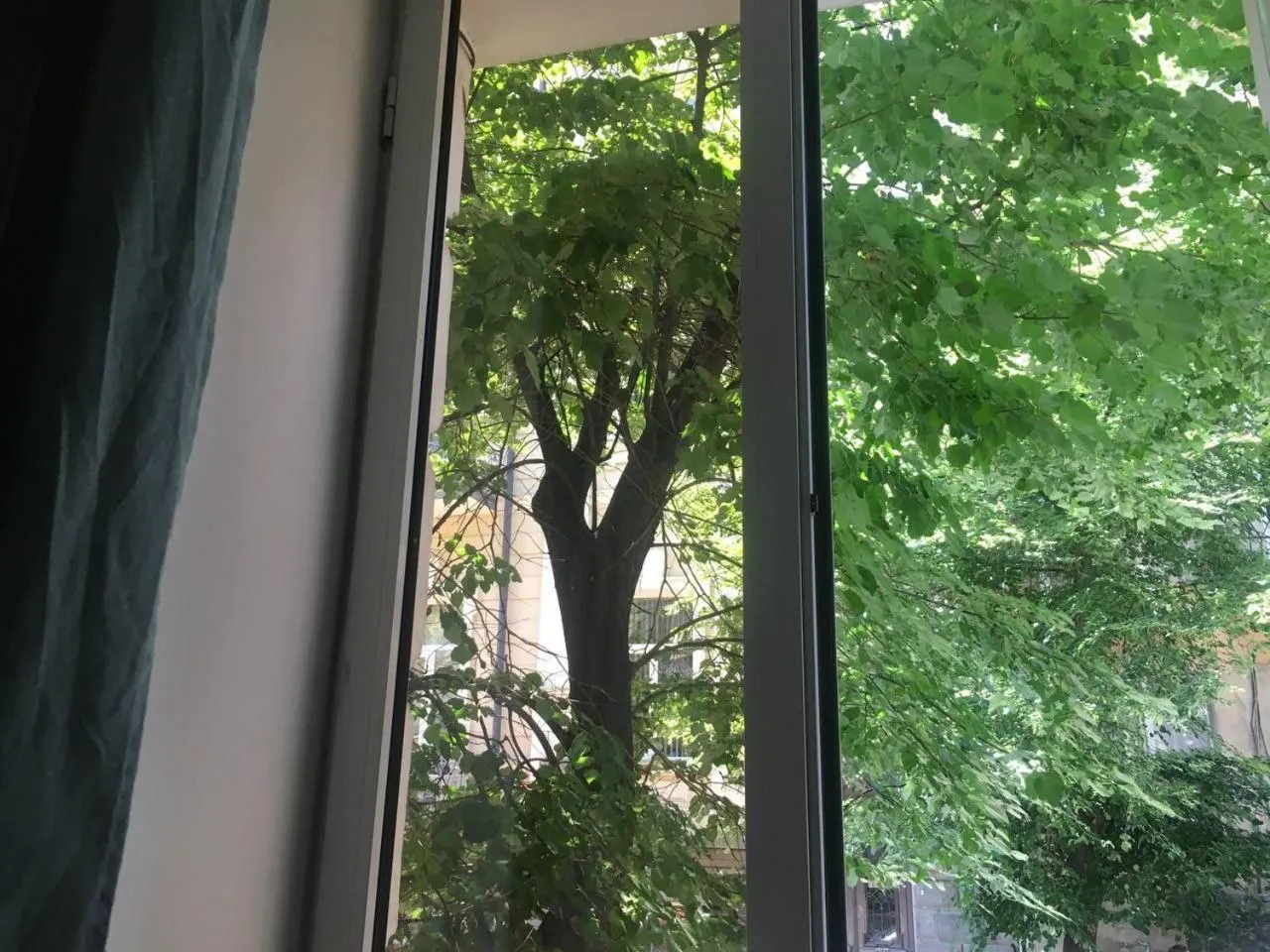 City view in Moosica Hostel