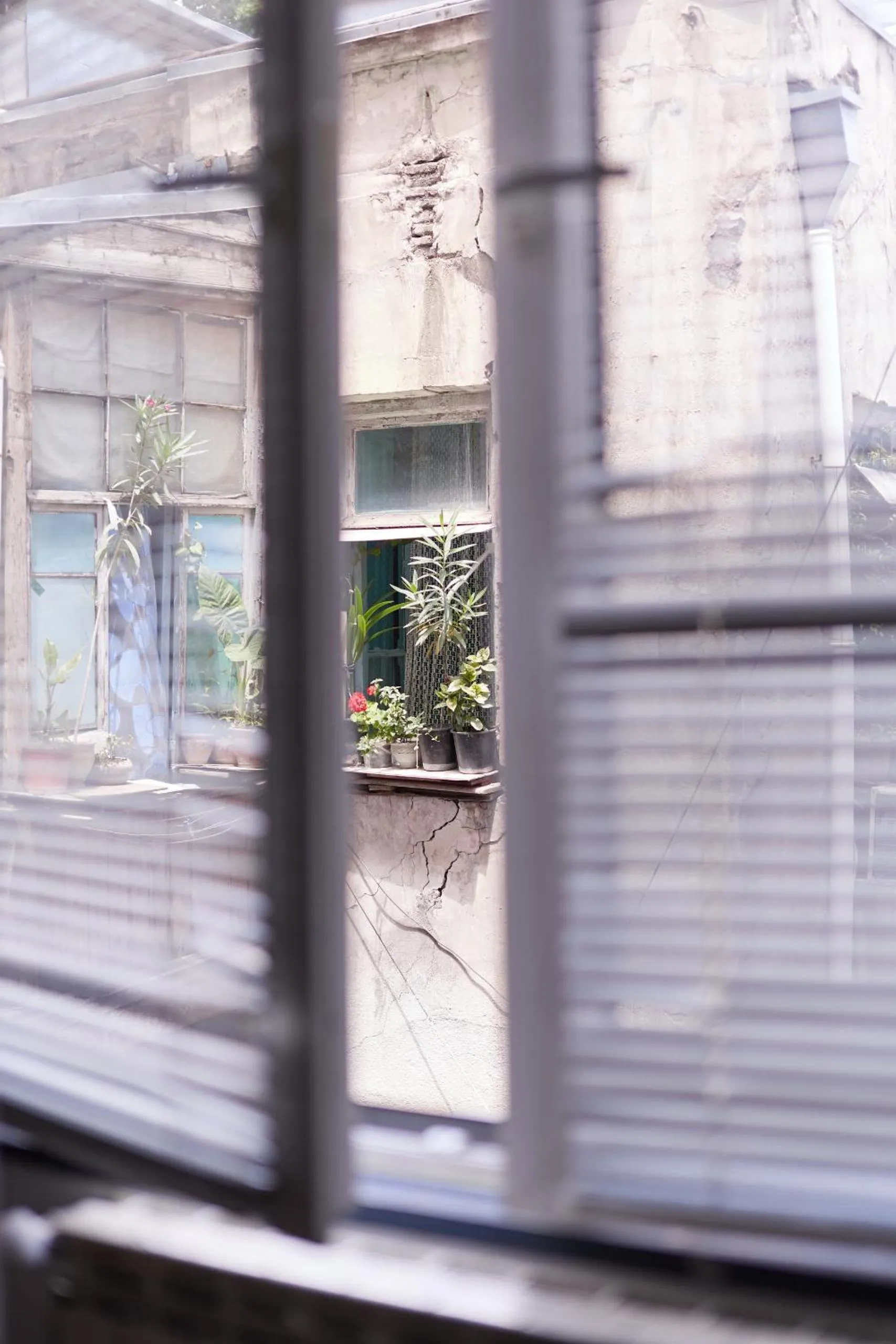 View (from property/room) in Moosica Hostel