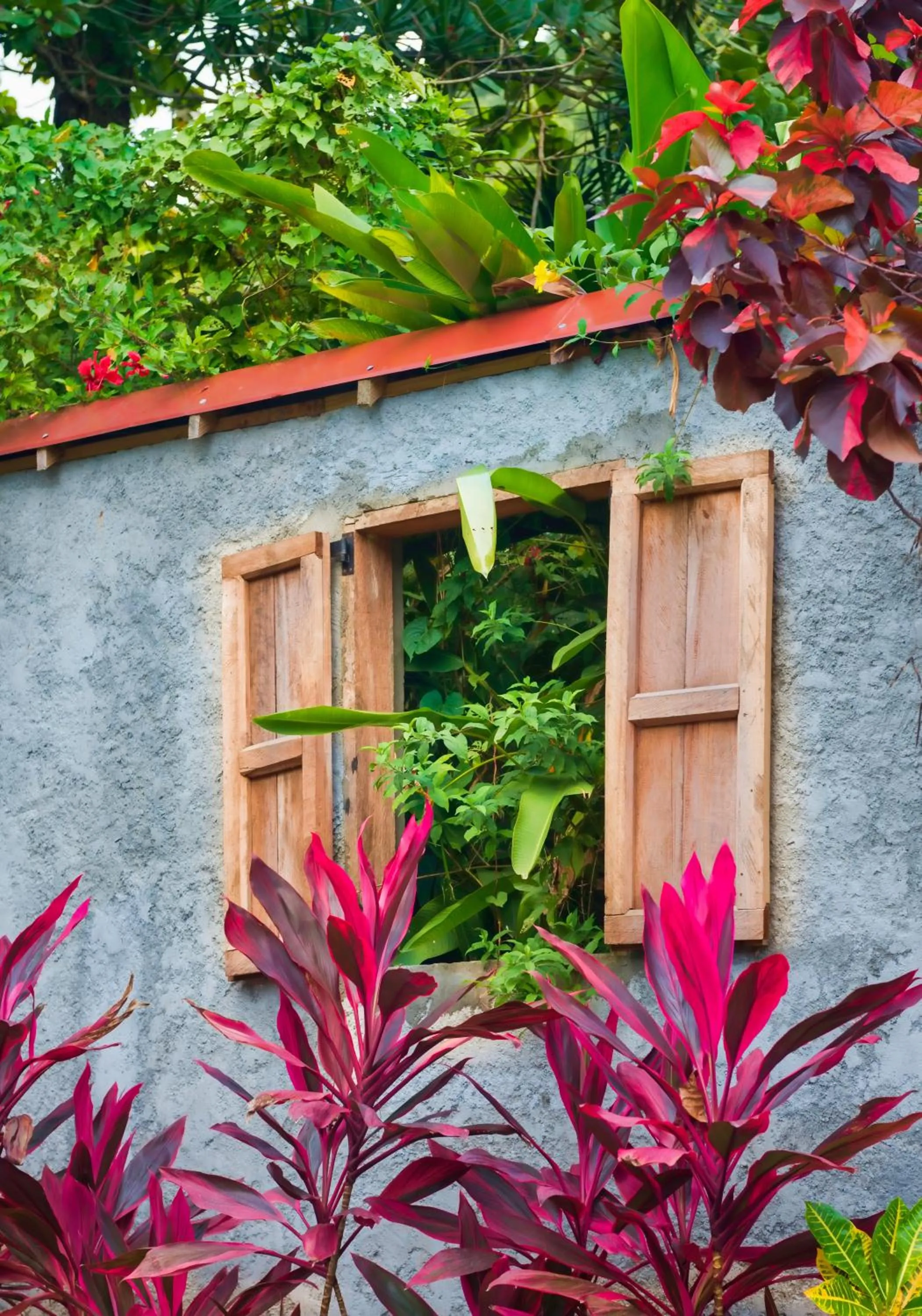 Facade/entrance in Hibiscus Valley Inn