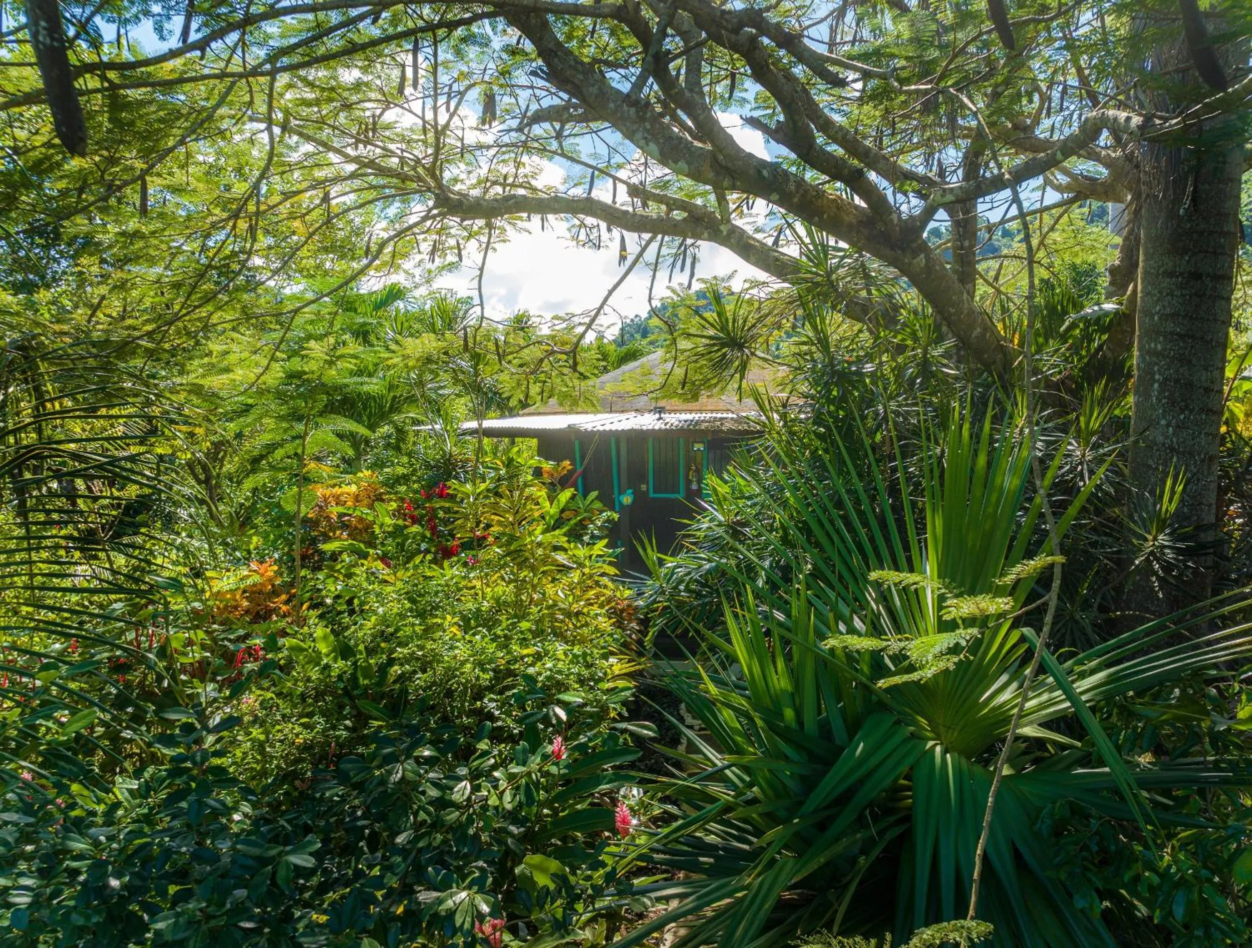 Natural landscape in Hibiscus Valley Inn
