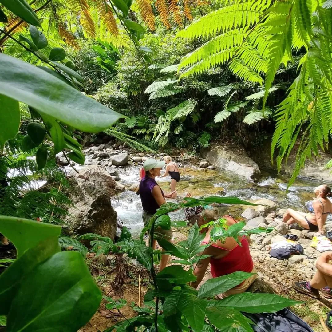 Off site in Hibiscus Valley Inn