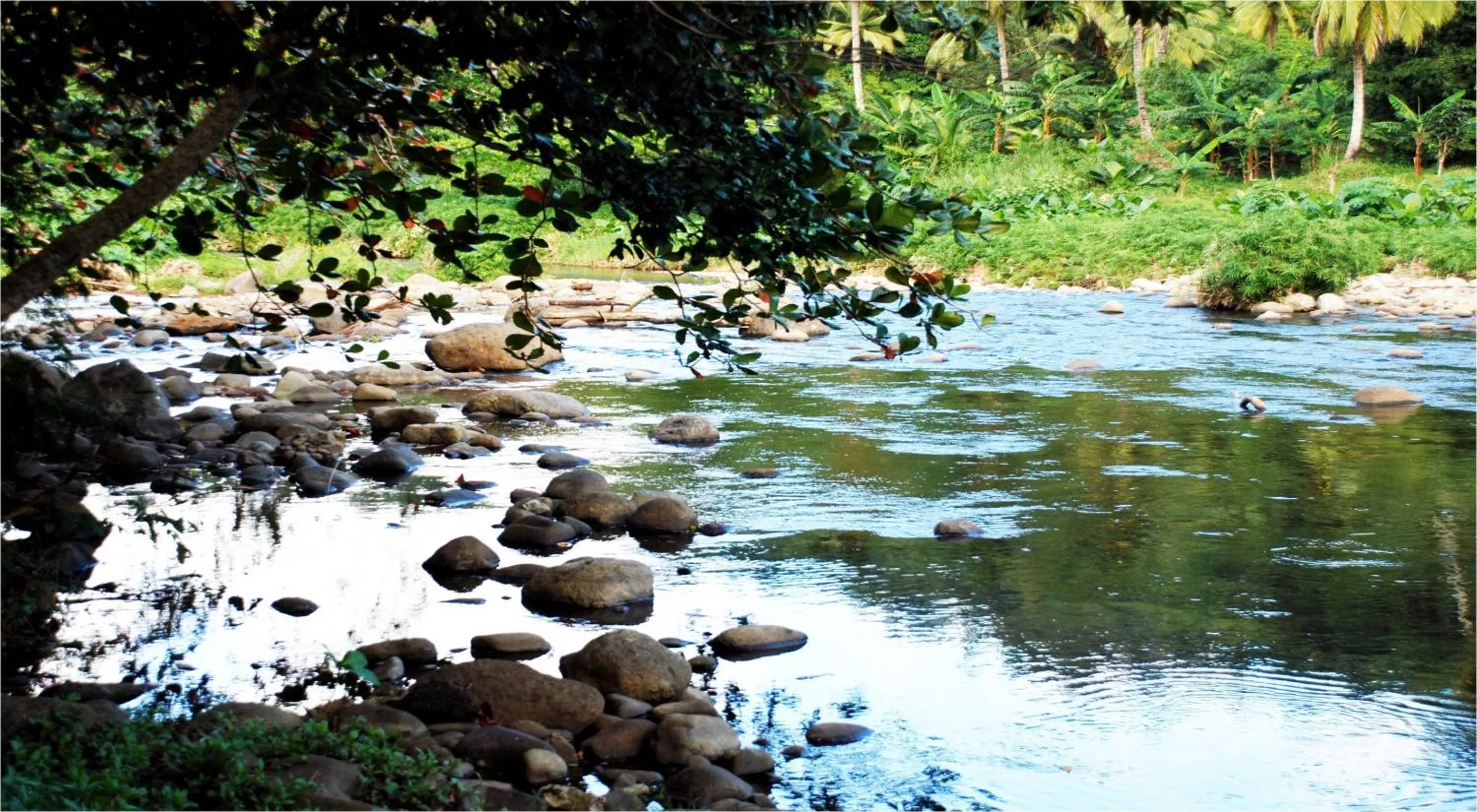 Natural landscape in Hibiscus Valley Inn