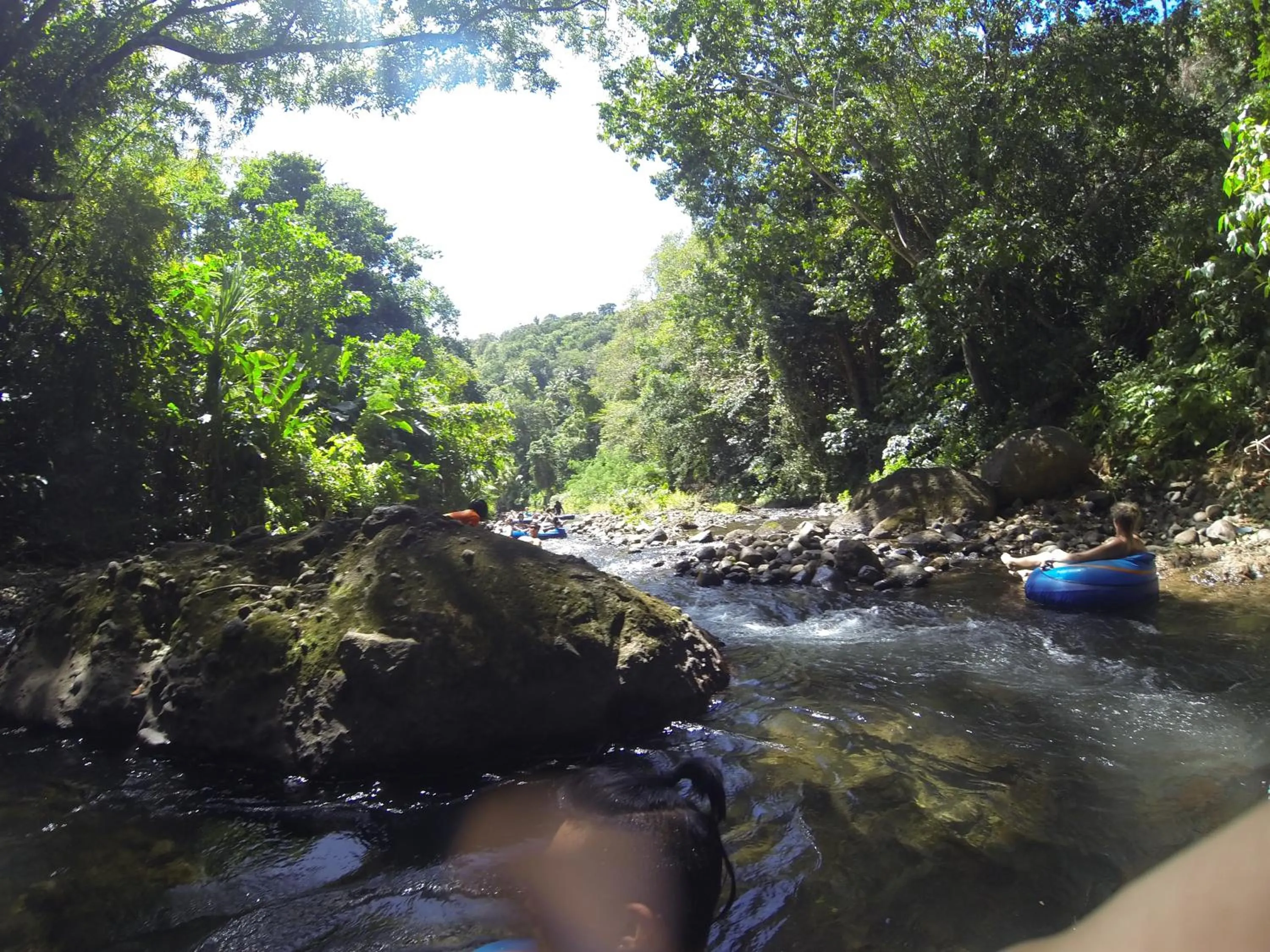 River view in Hibiscus Valley Inn