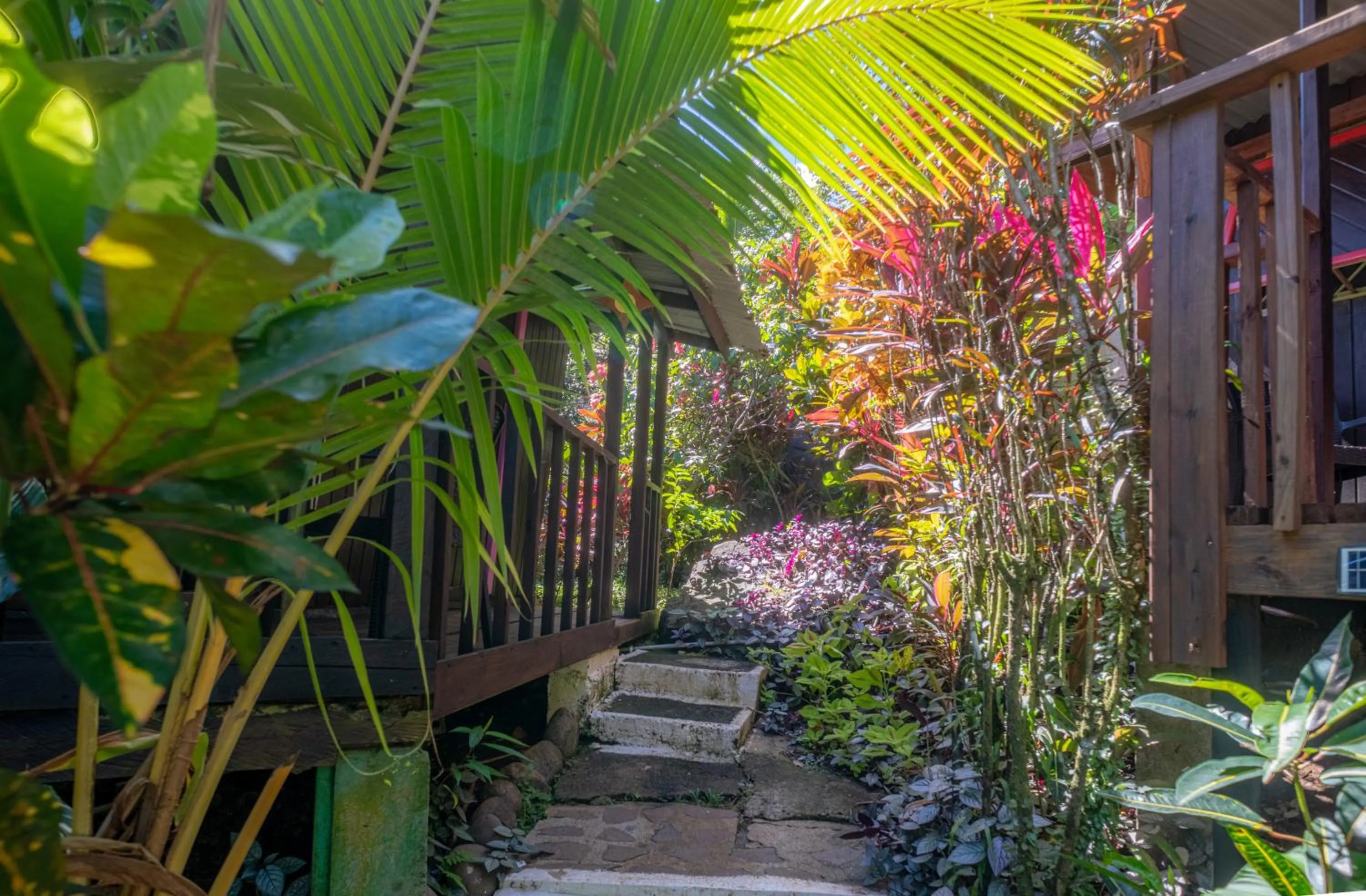 Garden in Hibiscus Valley Inn