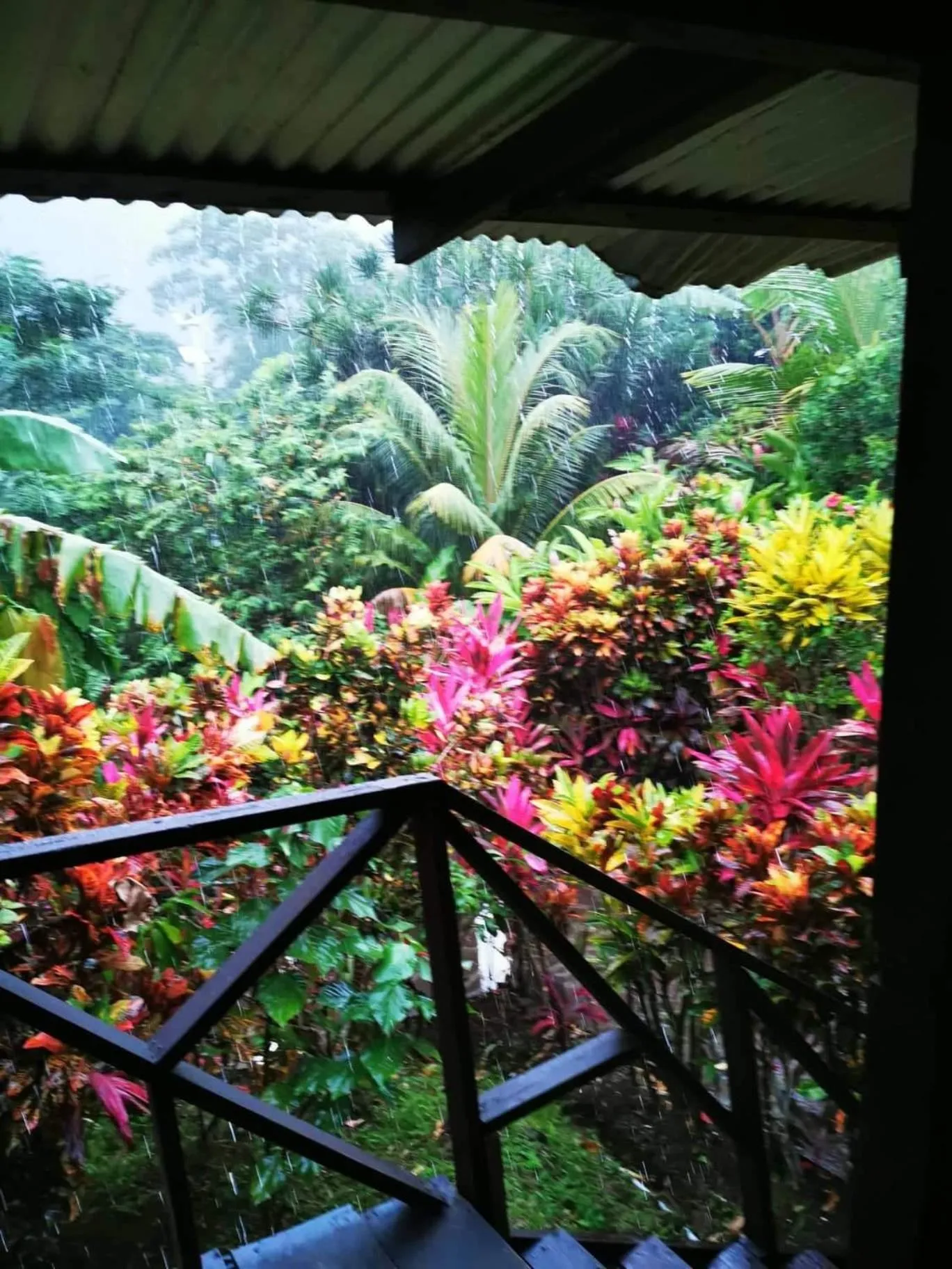 Garden in Hibiscus Valley Inn
