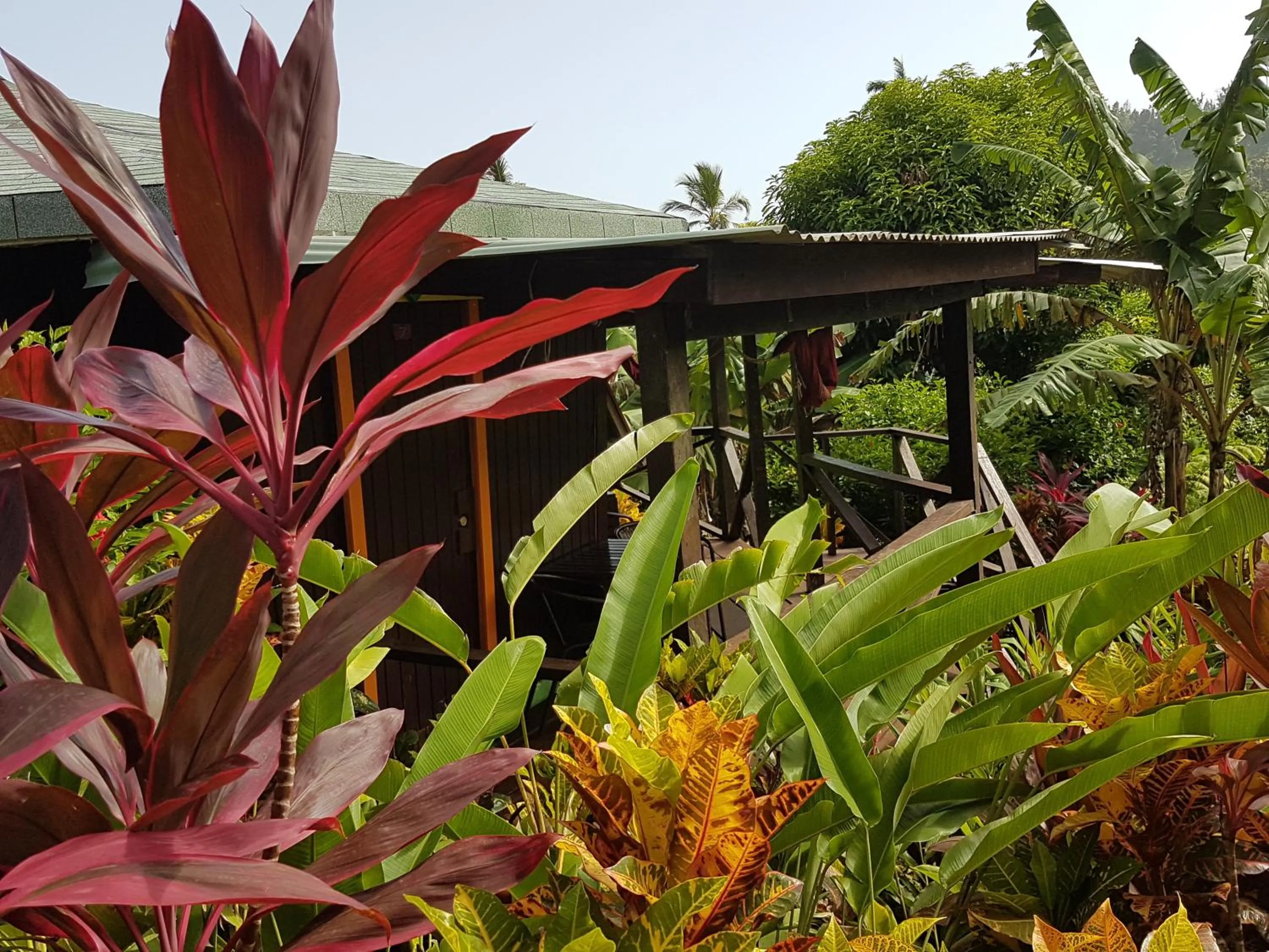 Property building in Hibiscus Valley Inn