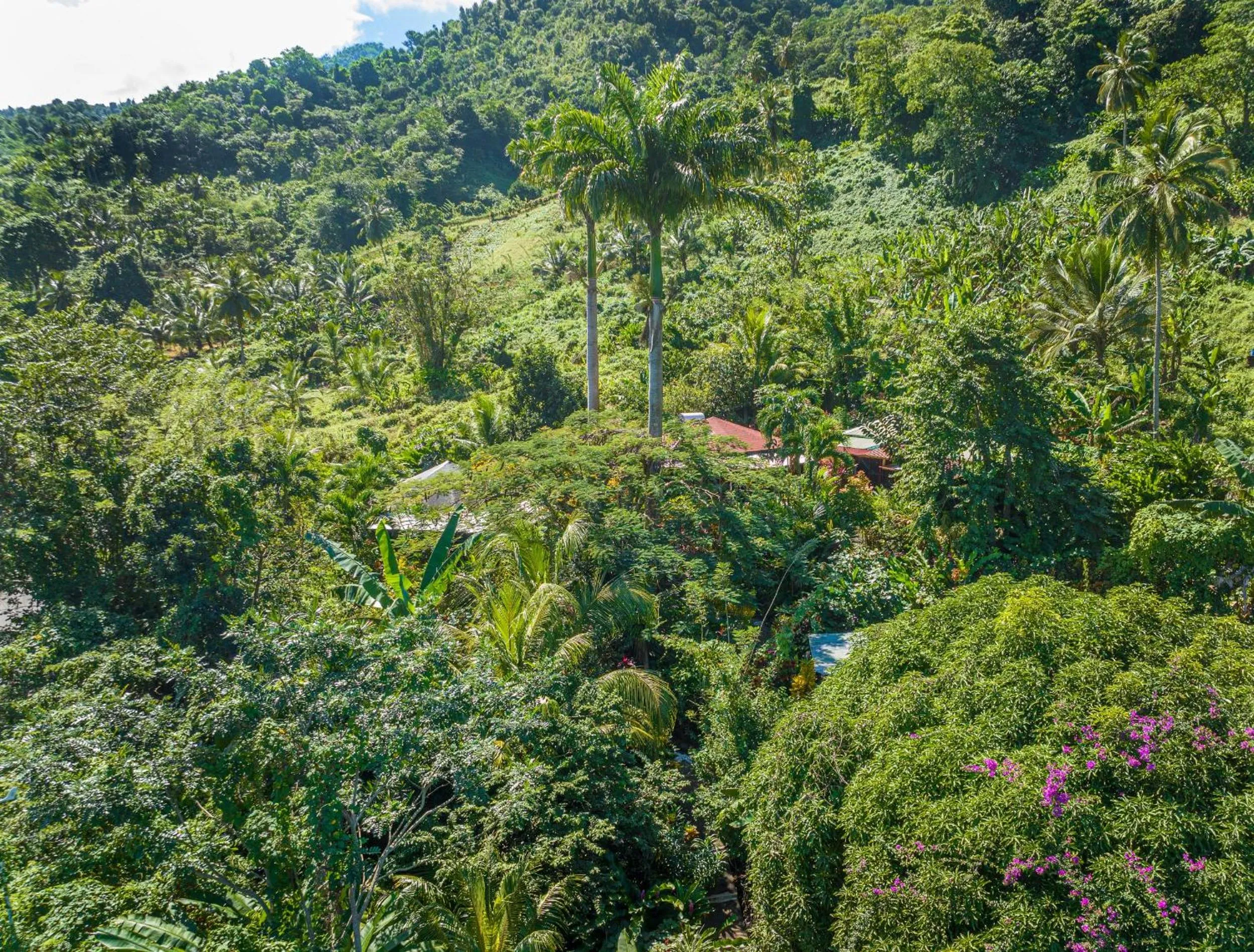 Property building in Hibiscus Valley Inn