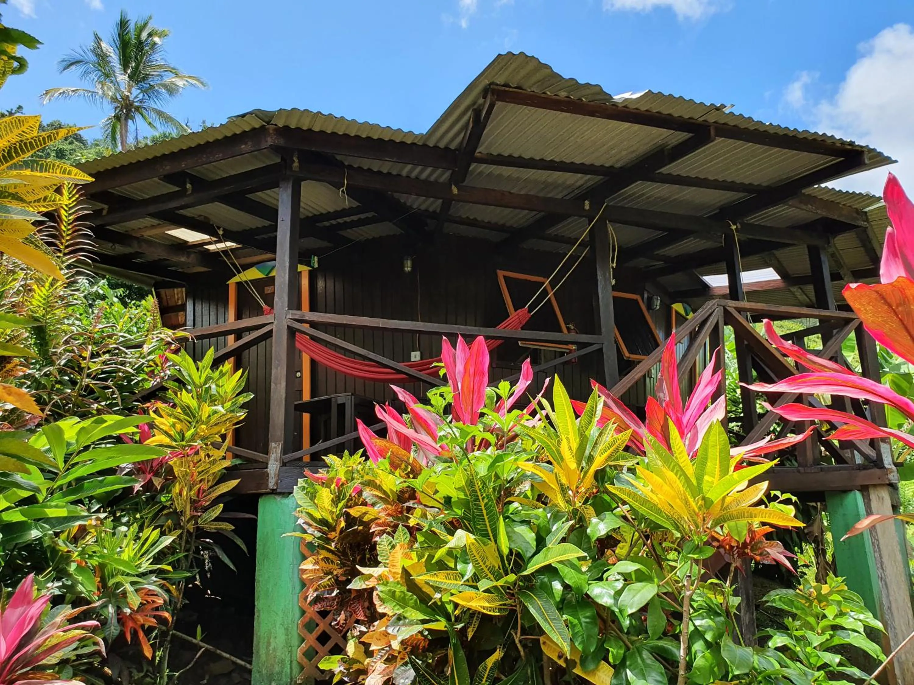 Property building in Hibiscus Valley Inn