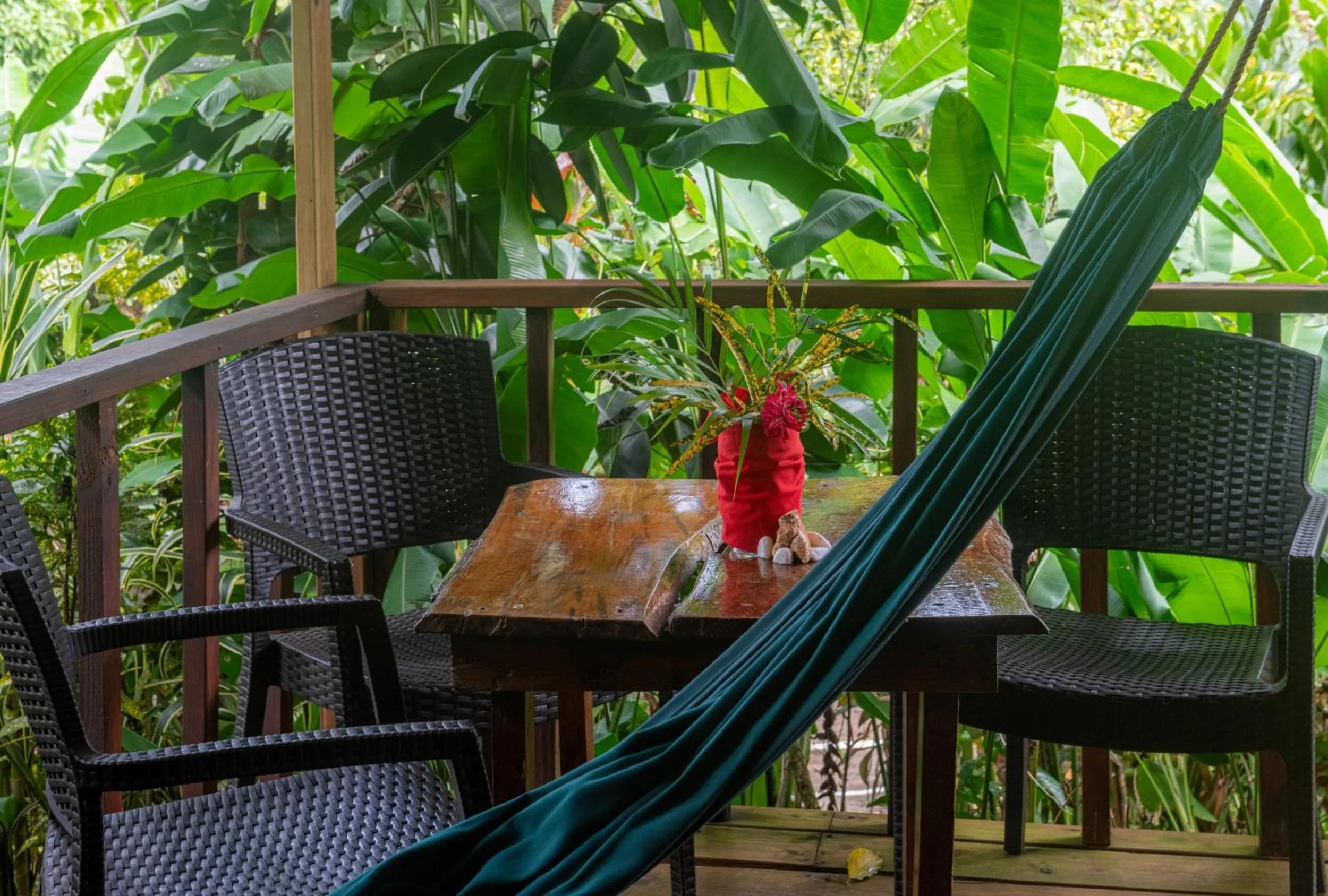 Patio in Hibiscus Valley Inn