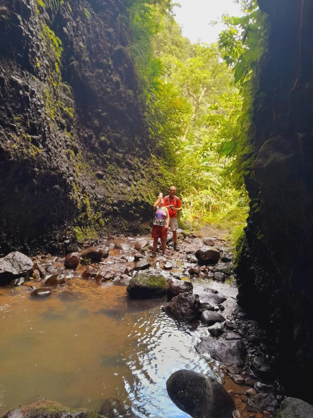 Off site in Hibiscus Valley Inn