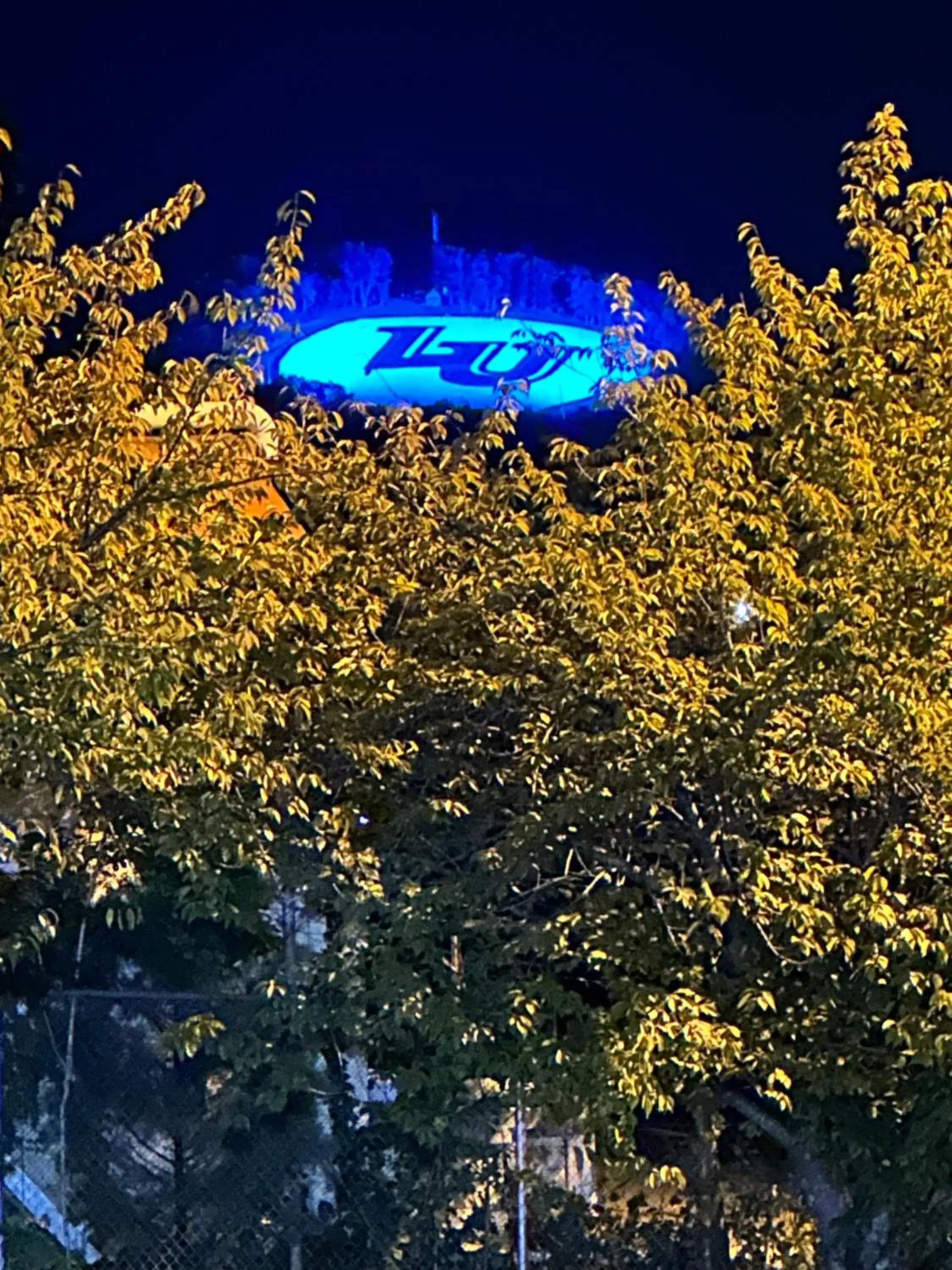 Mountain view in Baymont by Wyndham Lynchburg