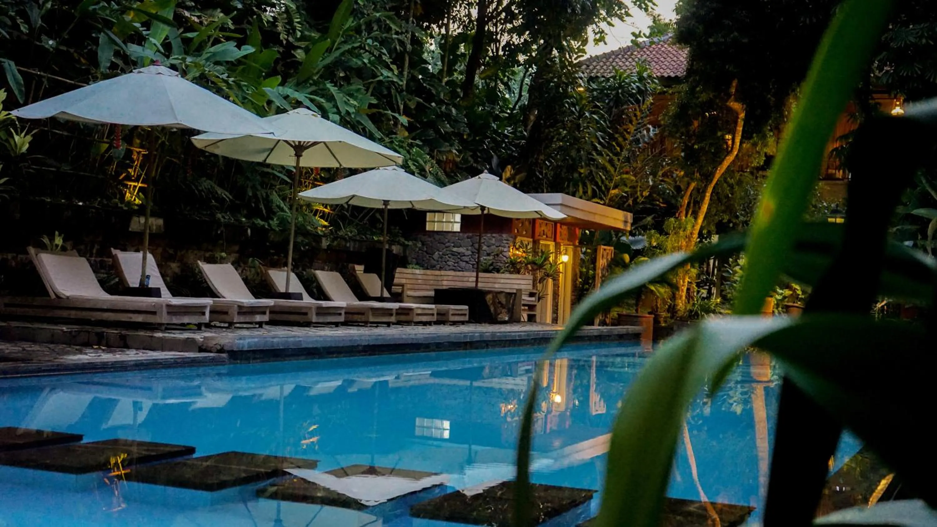 Swimming pool in Kayu Arum Resort