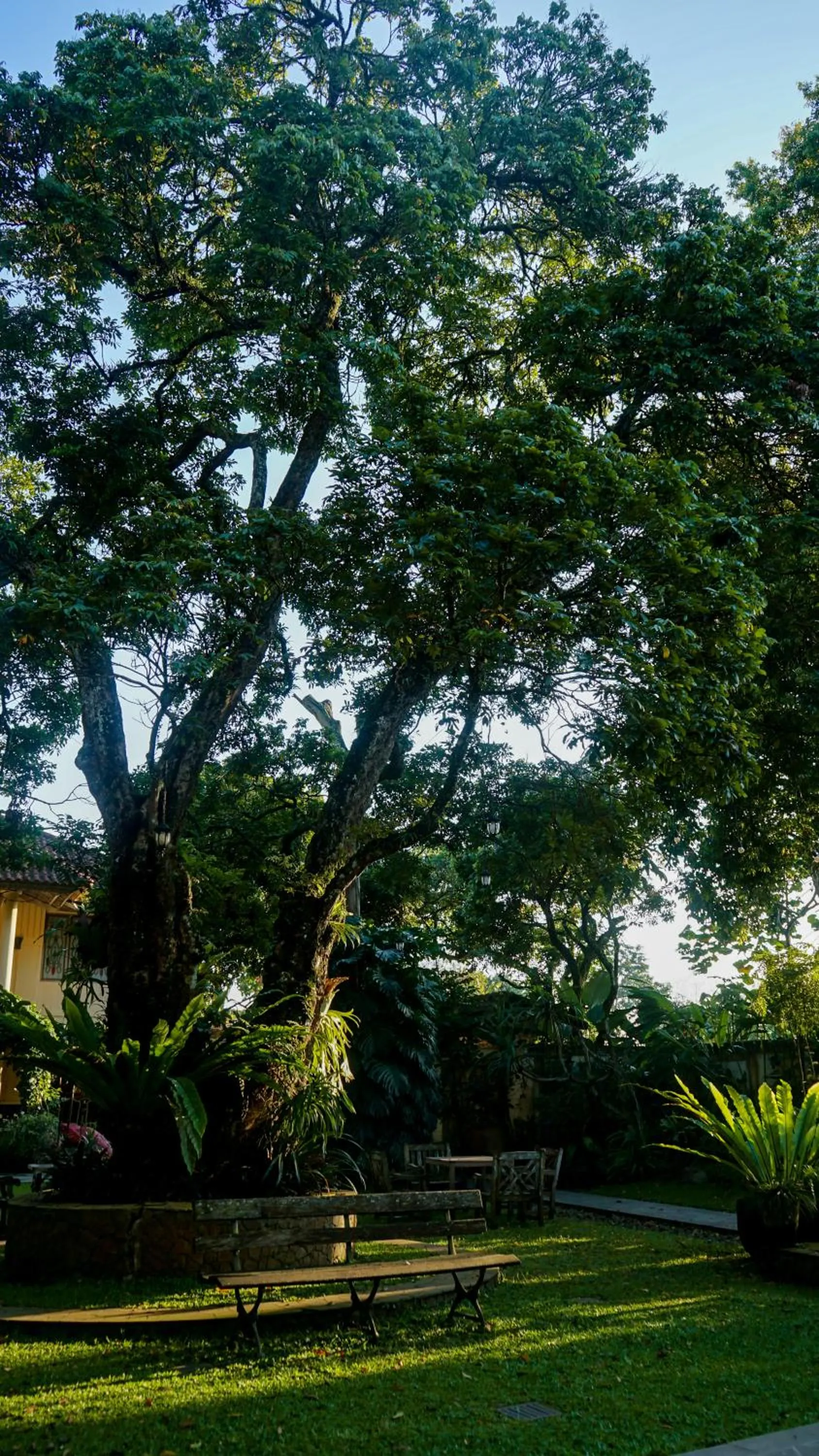 Garden in Kayu Arum Resort