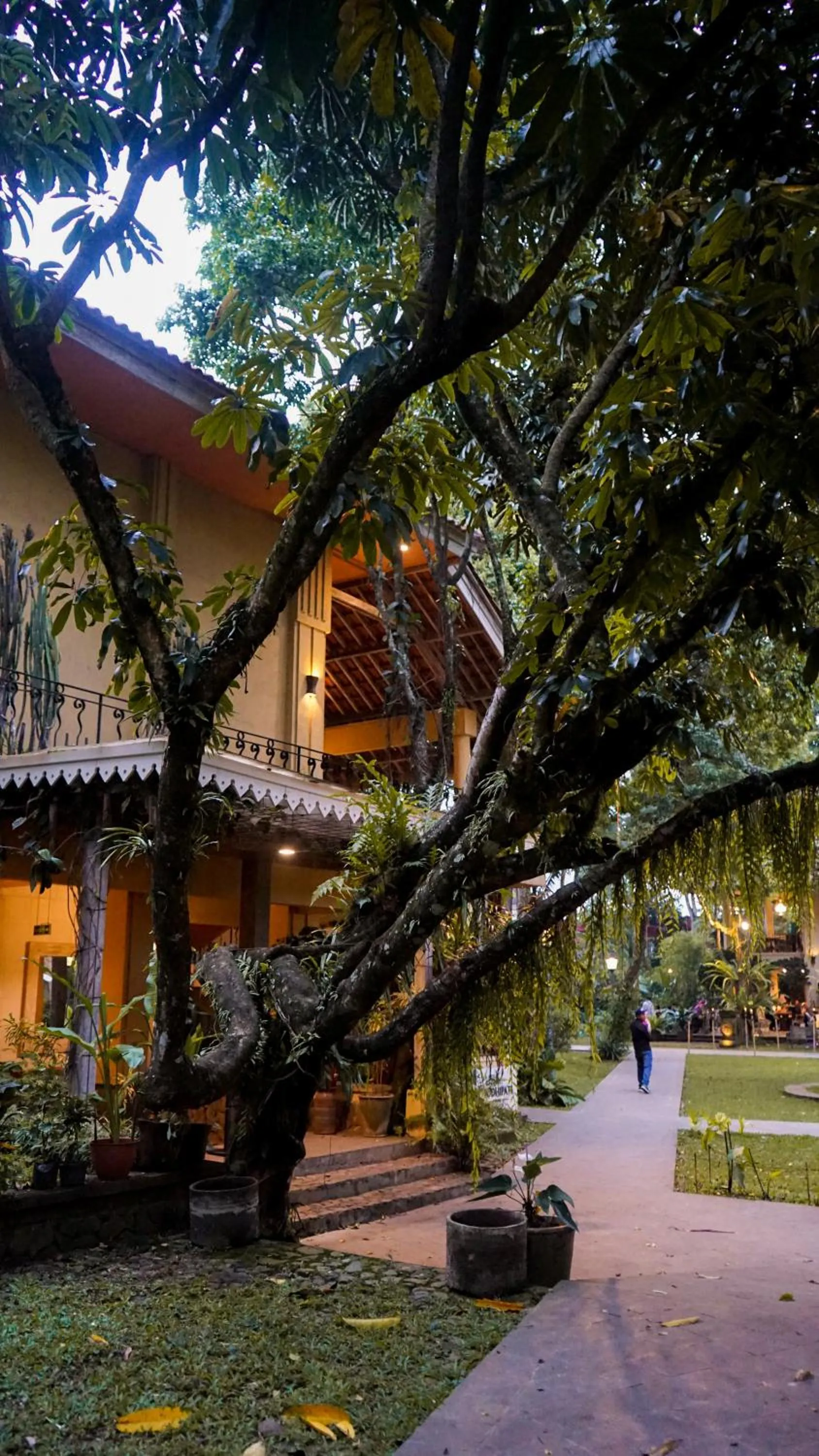 Property building in Kayu Arum Resort