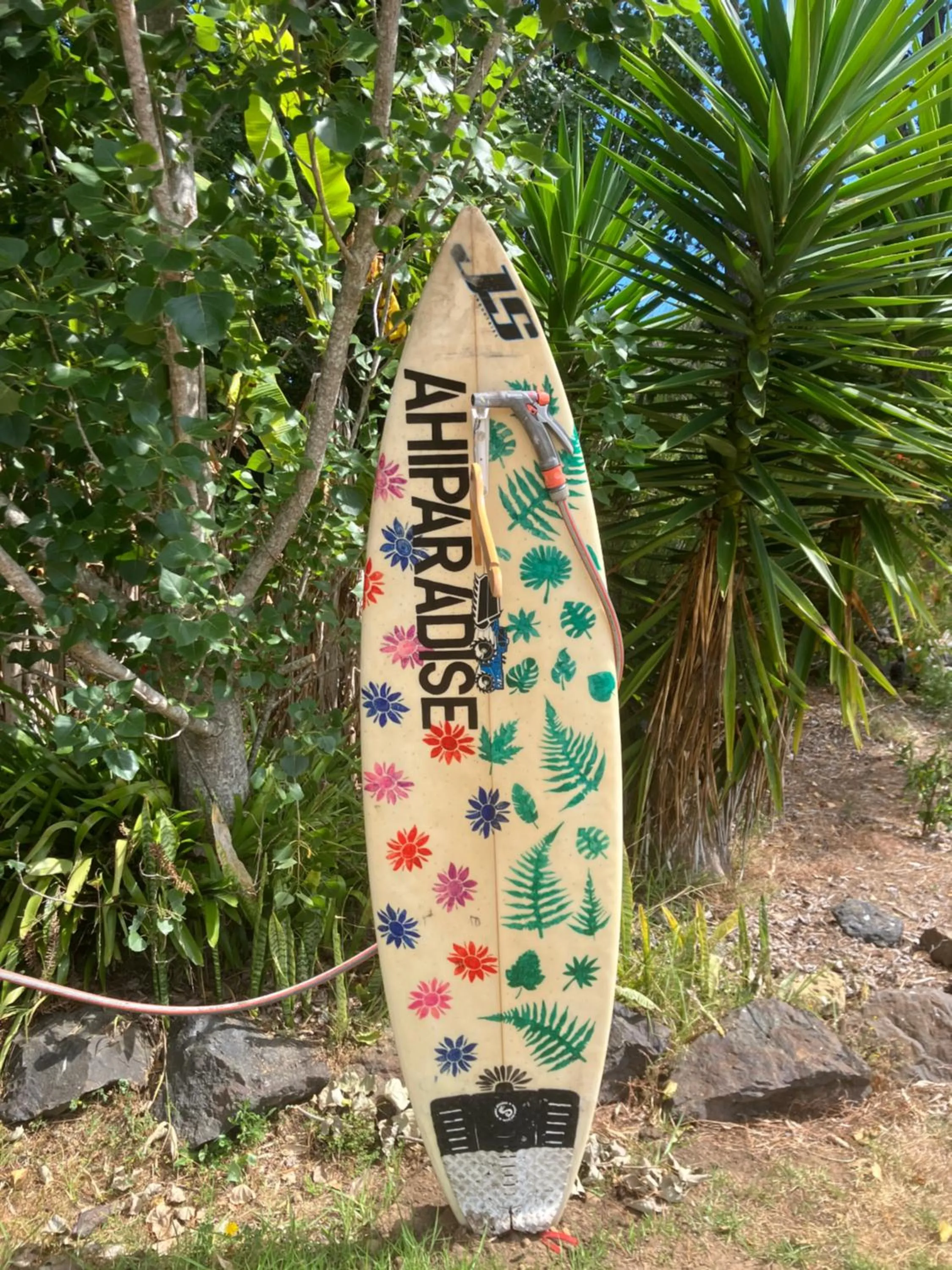 Other in Ahipara TOP 10 Holiday Park