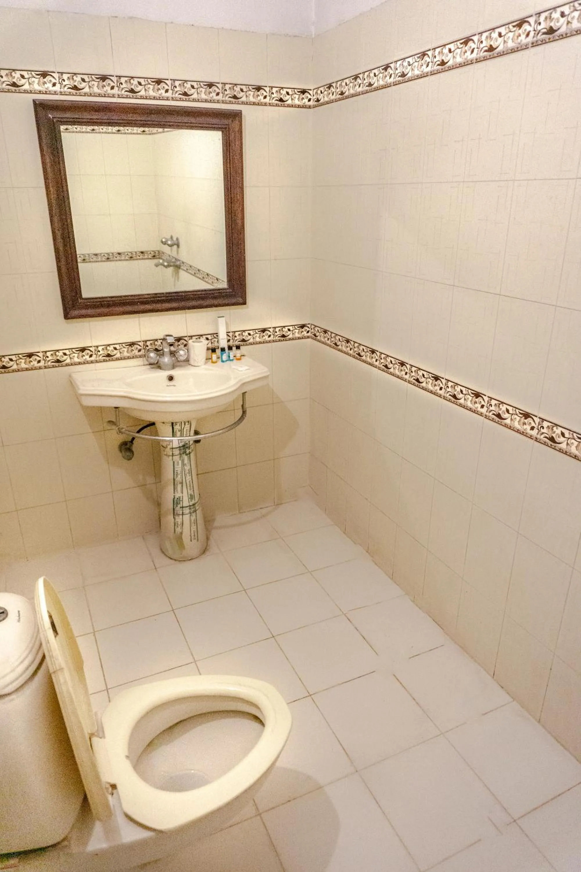 Shower in Krishna Palace - A Heritage Boutique Hotel