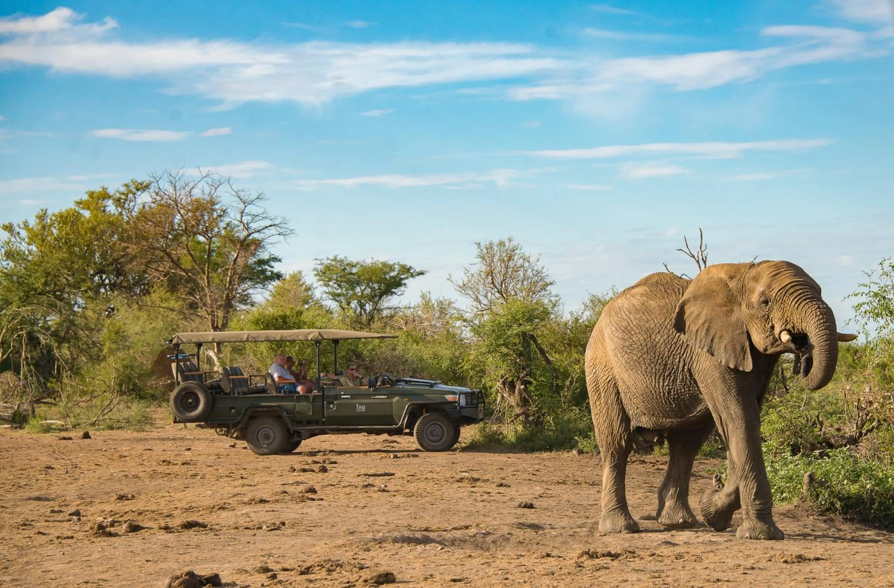 Animals in Tau Game Lodge