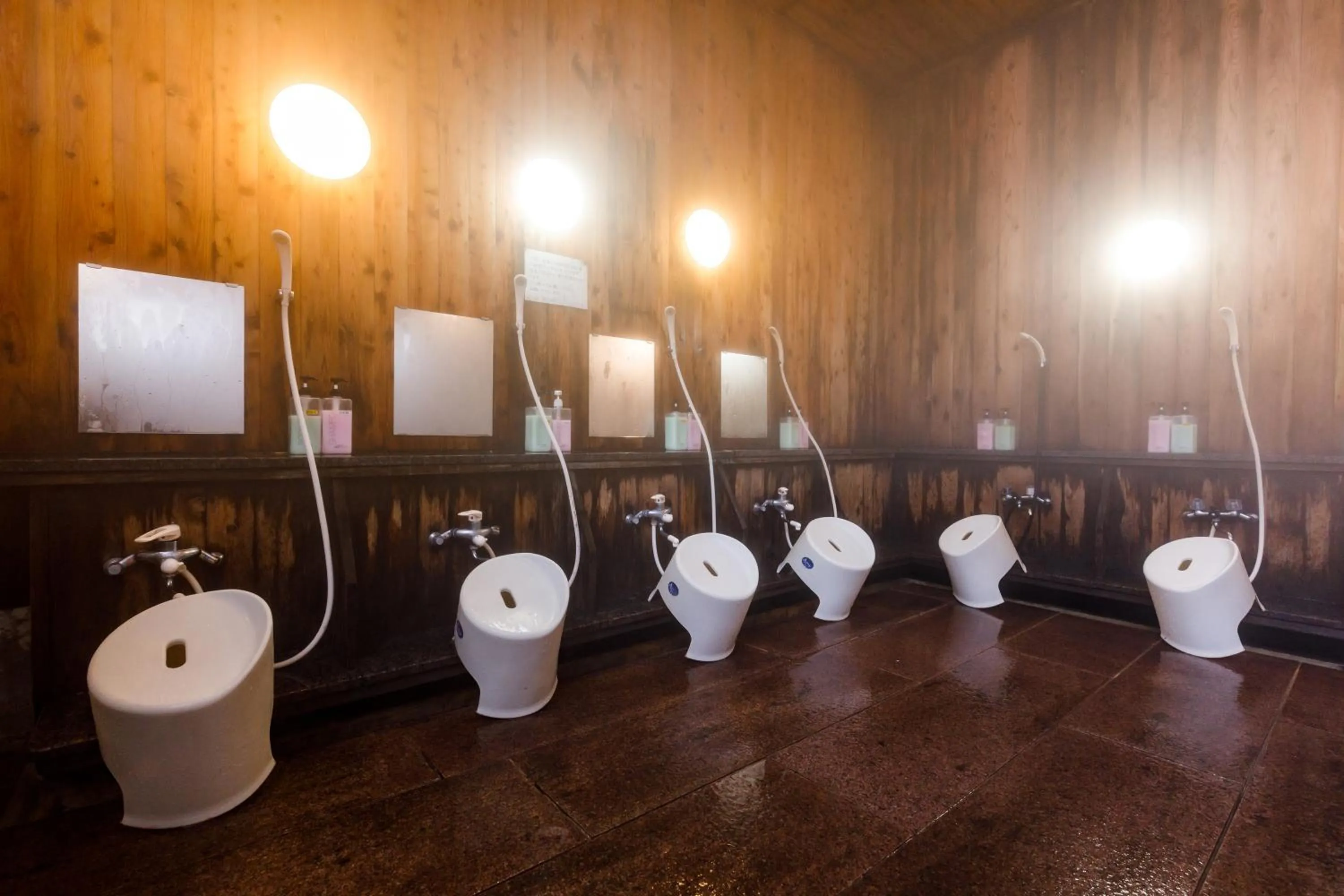 Public Bath in ホテルけやきの樹